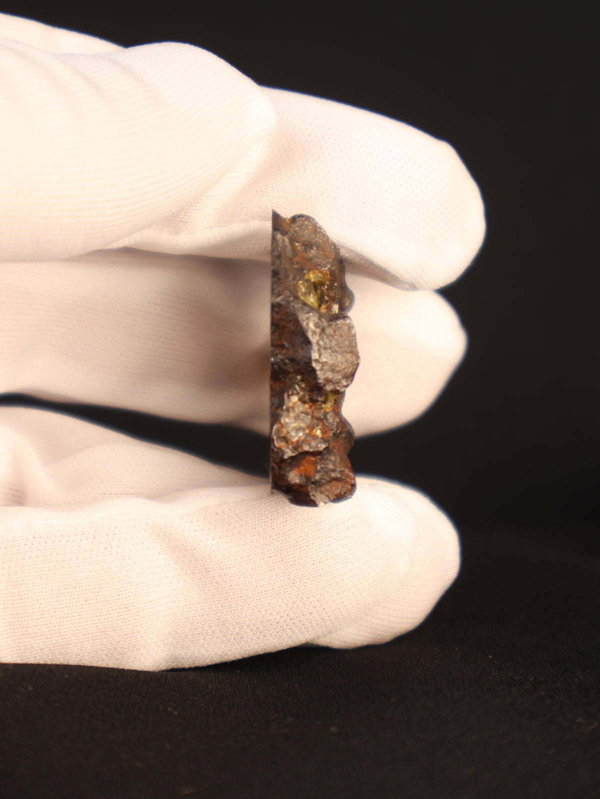 IMILAC PALLASITE METEORITE, END CUT, CHILE. 39,49 GRAMS.