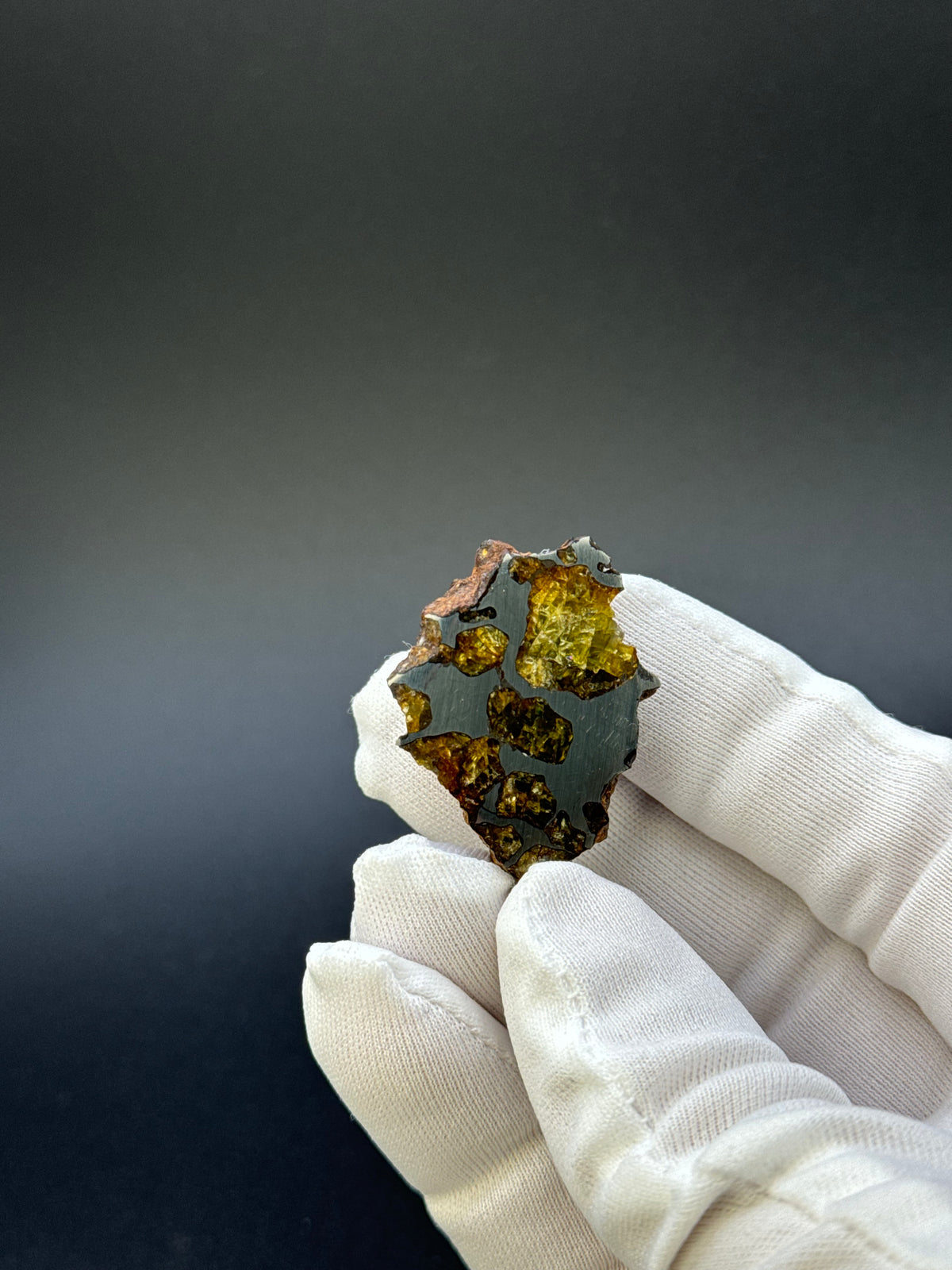 IMILAC PALLASITE METEORITE, END CUT, CHILE. 19,55 GRAMS.