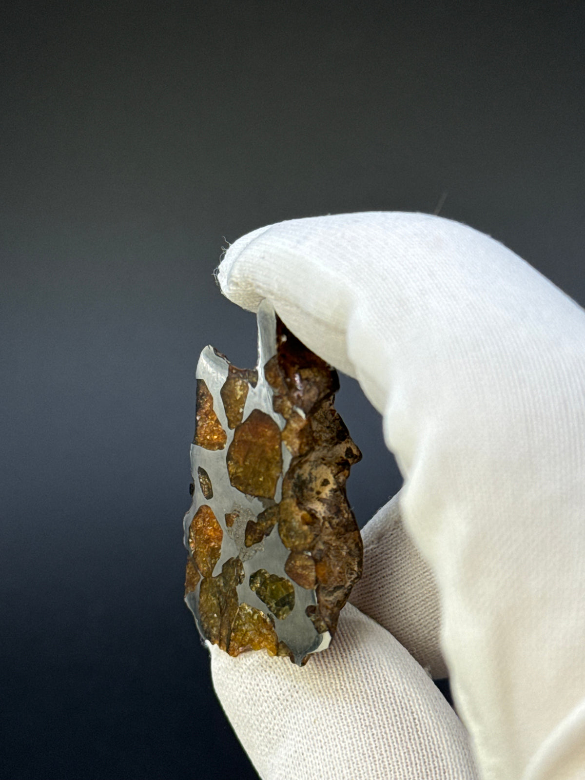 IMILAC PALLASITE METEORITE, END CUT, CHILE. 13,5 GRAMS.