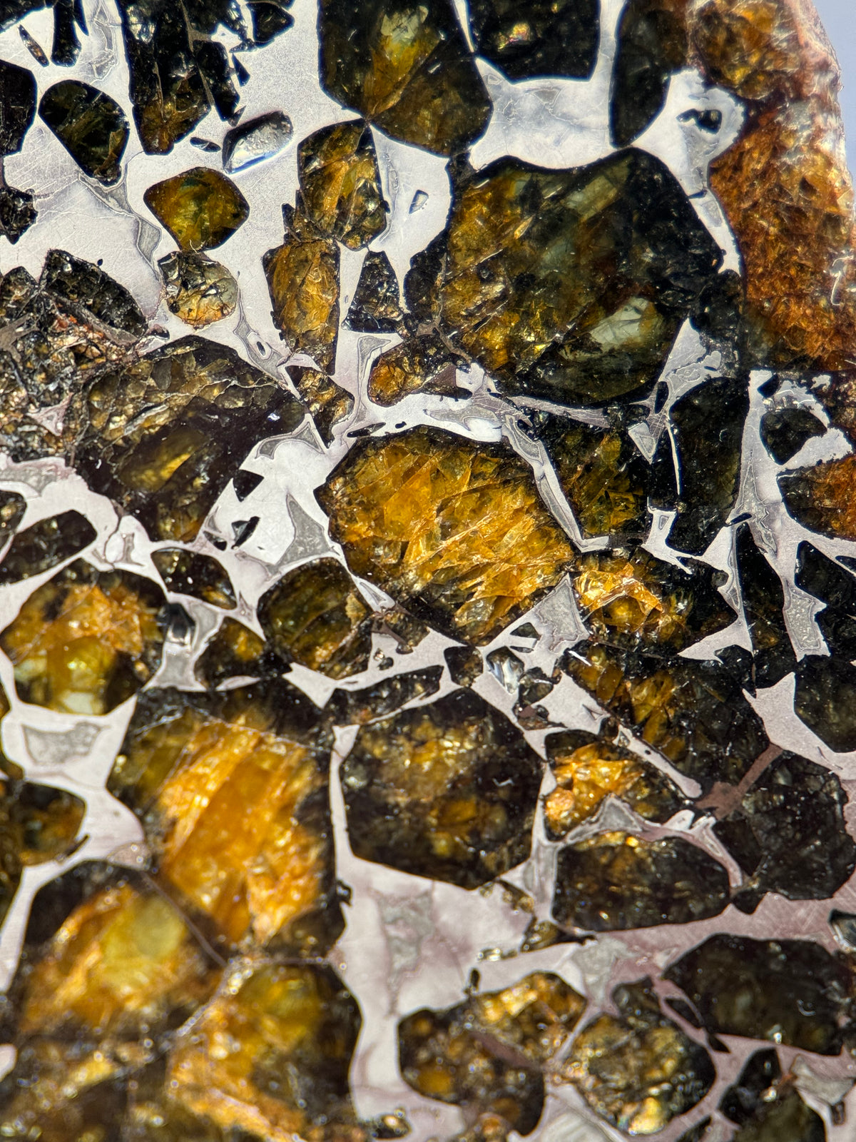 SEYMCHAN METEORITE, MAGADAN REGION, RUSSIA. 36,6 GRAMS SLICE.
