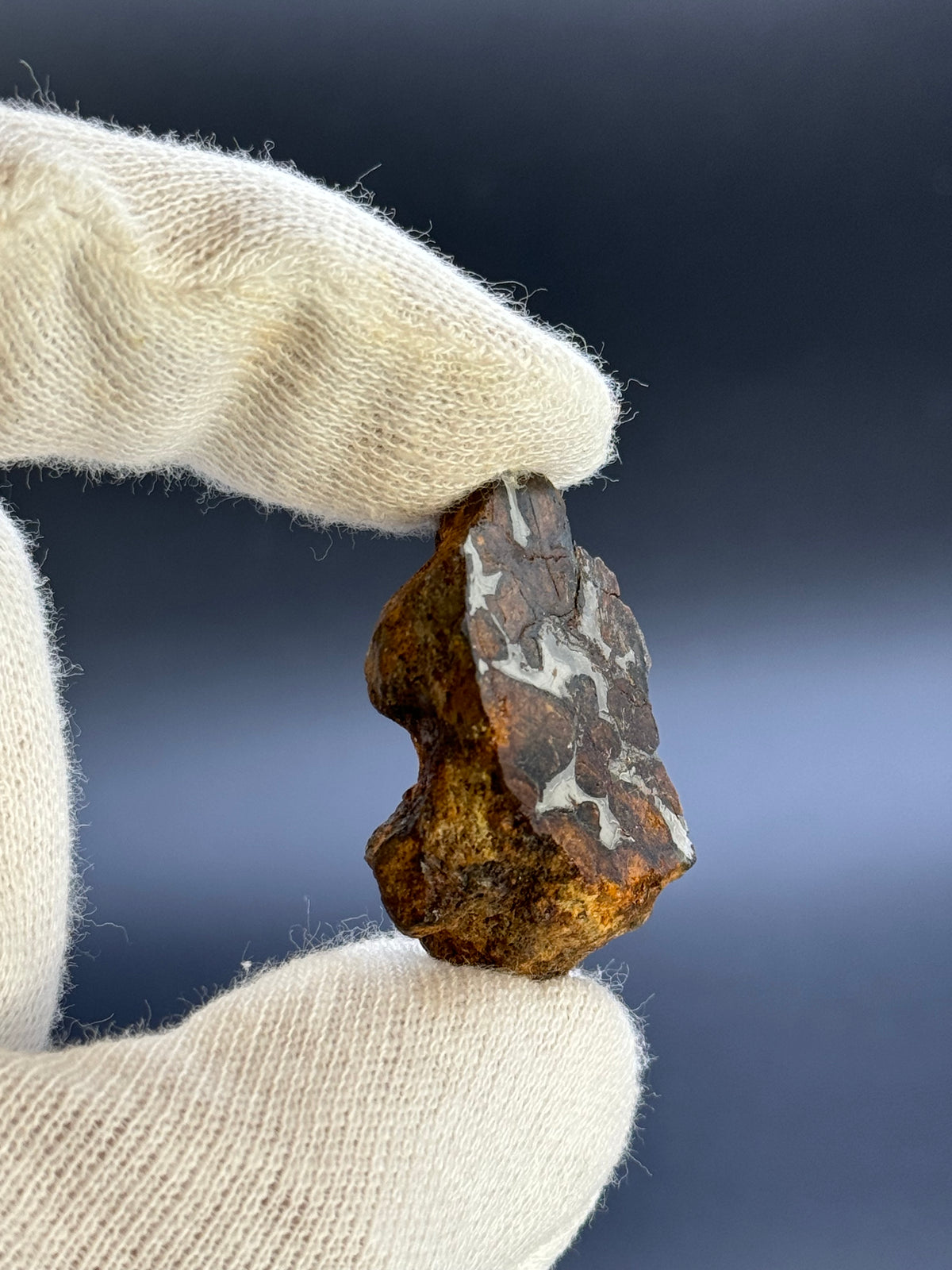 SERICHO PALLASITE METEORITE, KENYA. 24,24 GRAMS END-CUT.