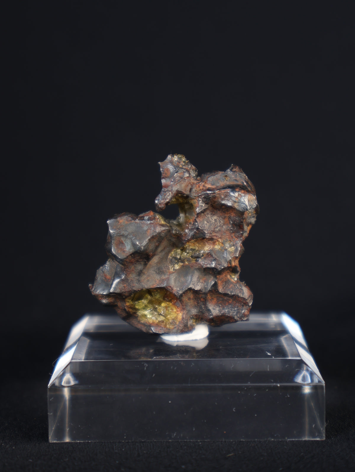 IMILAC PALLASITE METEORITE, END CUT, CHILE. 39,49 GRAMS.