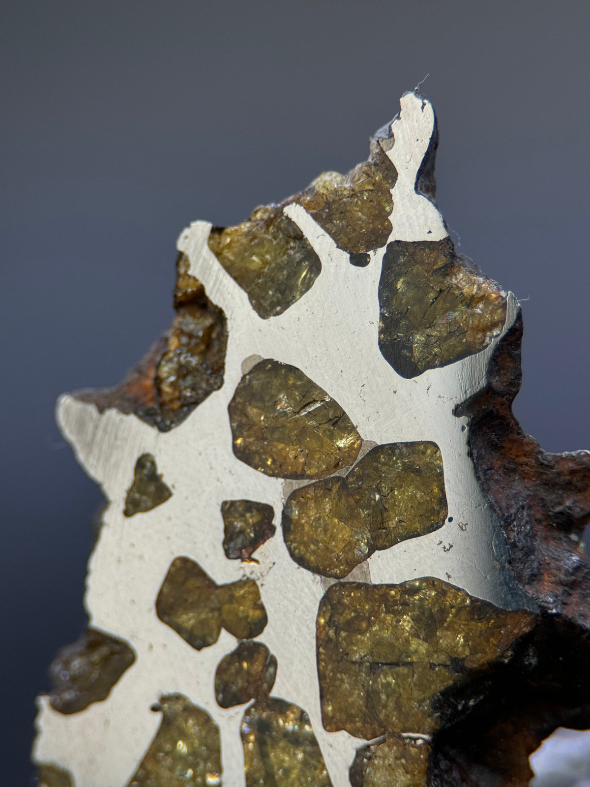 IMILAC PALLASITE METEORITE, END CUT, CHILE. 25,36 GRAMS.