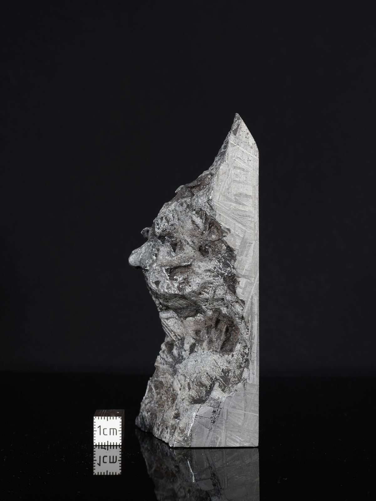 MUONIONALUSTA METEORITE, SWEDEN. 560 GRAMS END-CUT.