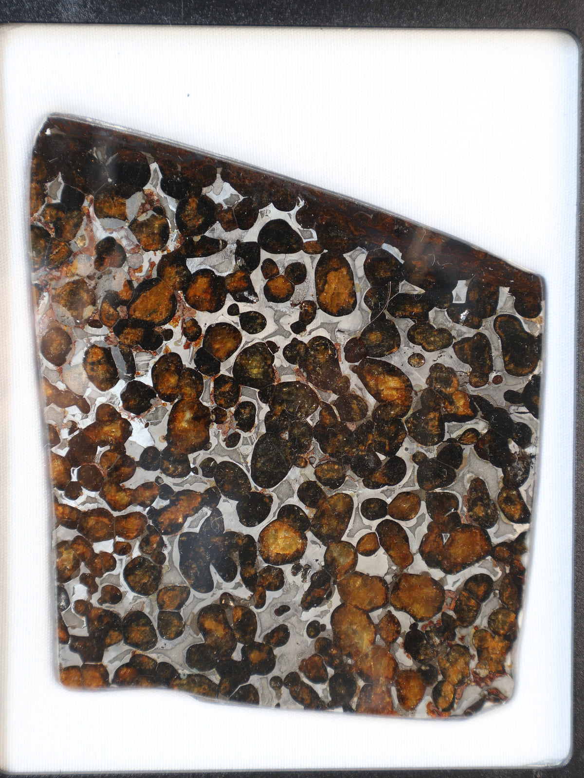 SERICHO METEORITE, KENYA. 58 GRAMS SLICE