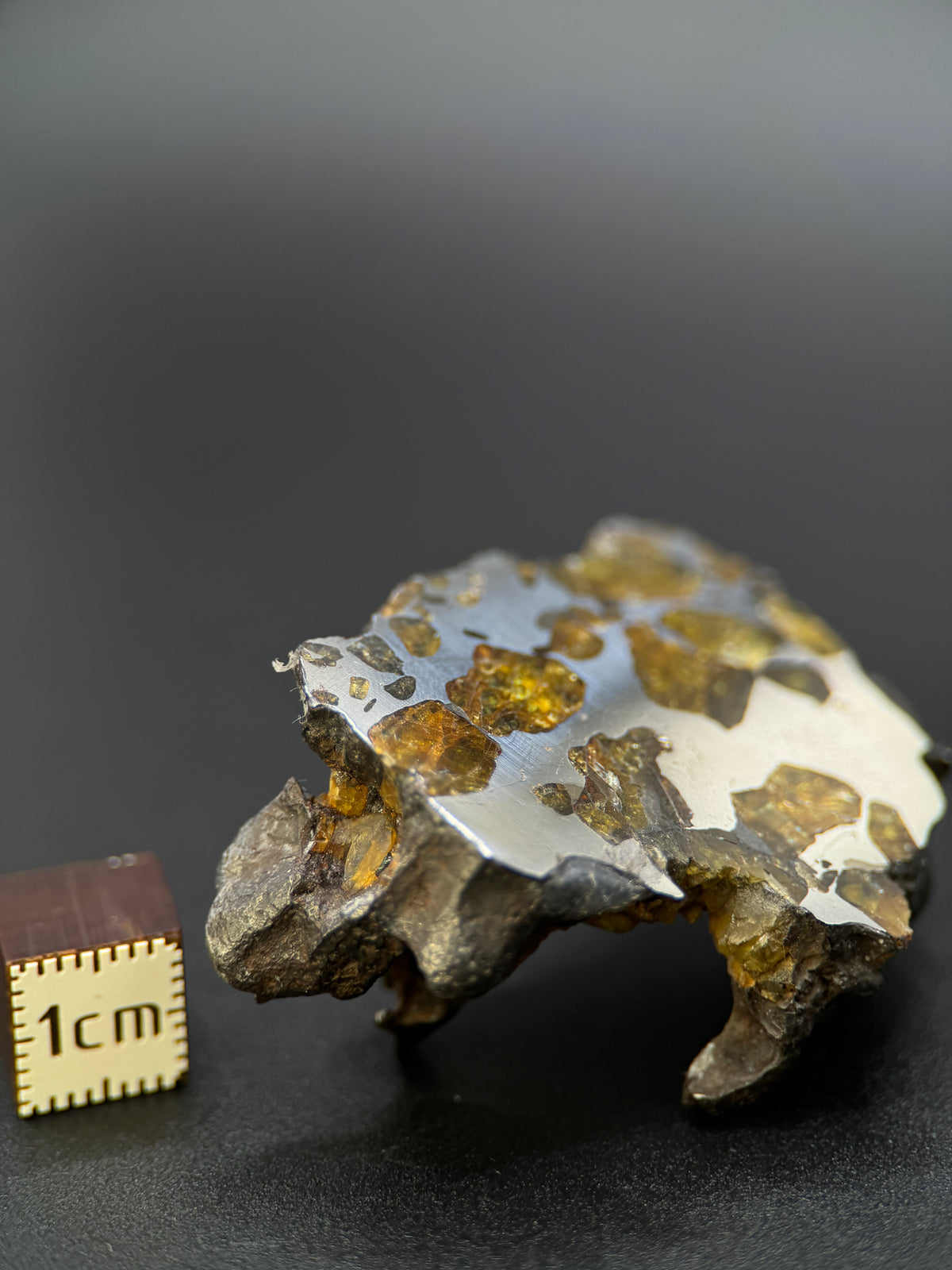IMILAC PALLASITE METEORITE, END CUT, CHILE. 44,7 GRAMS.