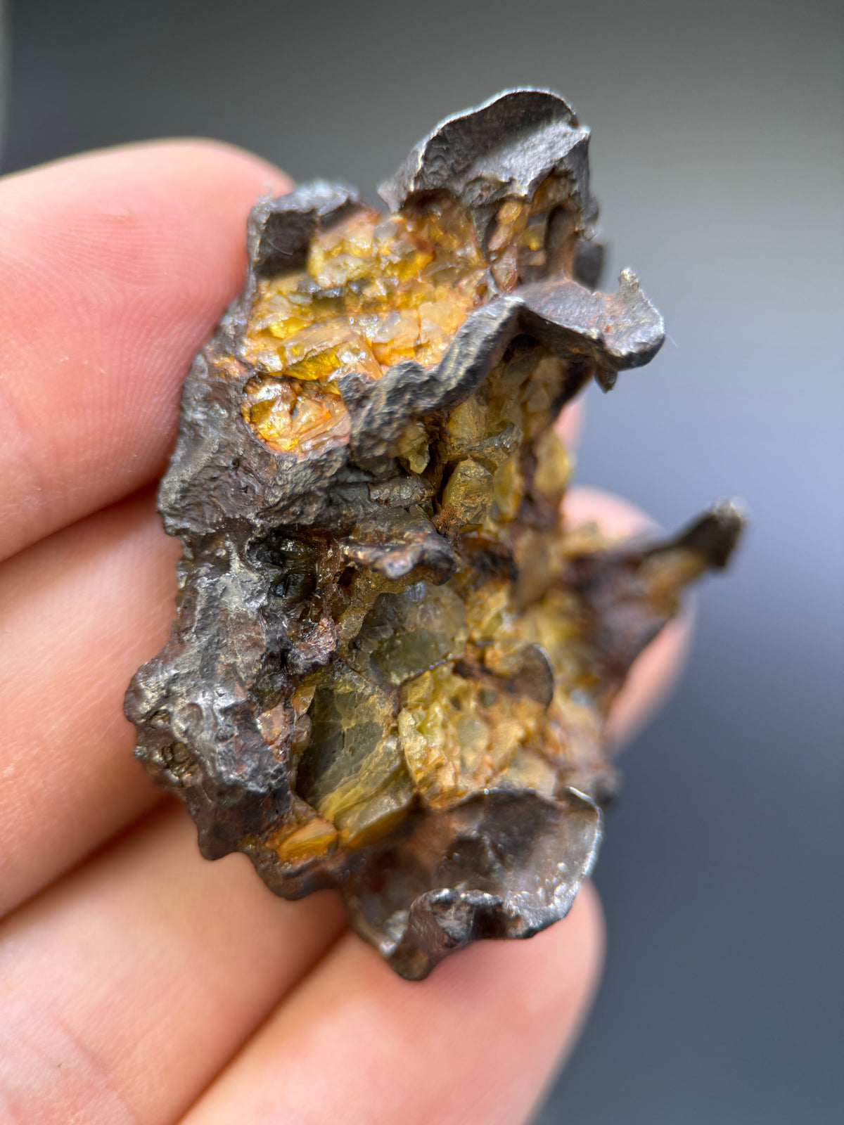 IMILAC PALLASITE METEORITE, END CUT, CHILE. 44,7 GRAMS.