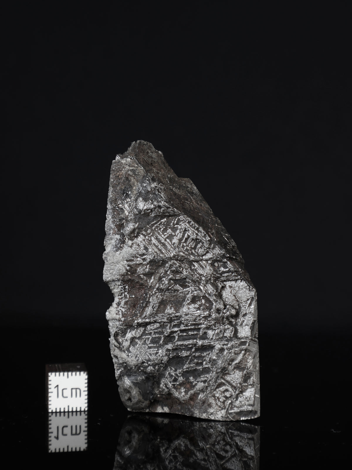 MUONIONALUSTA METEORITE, SWEDEN. 155 GRAMS END-CUT.