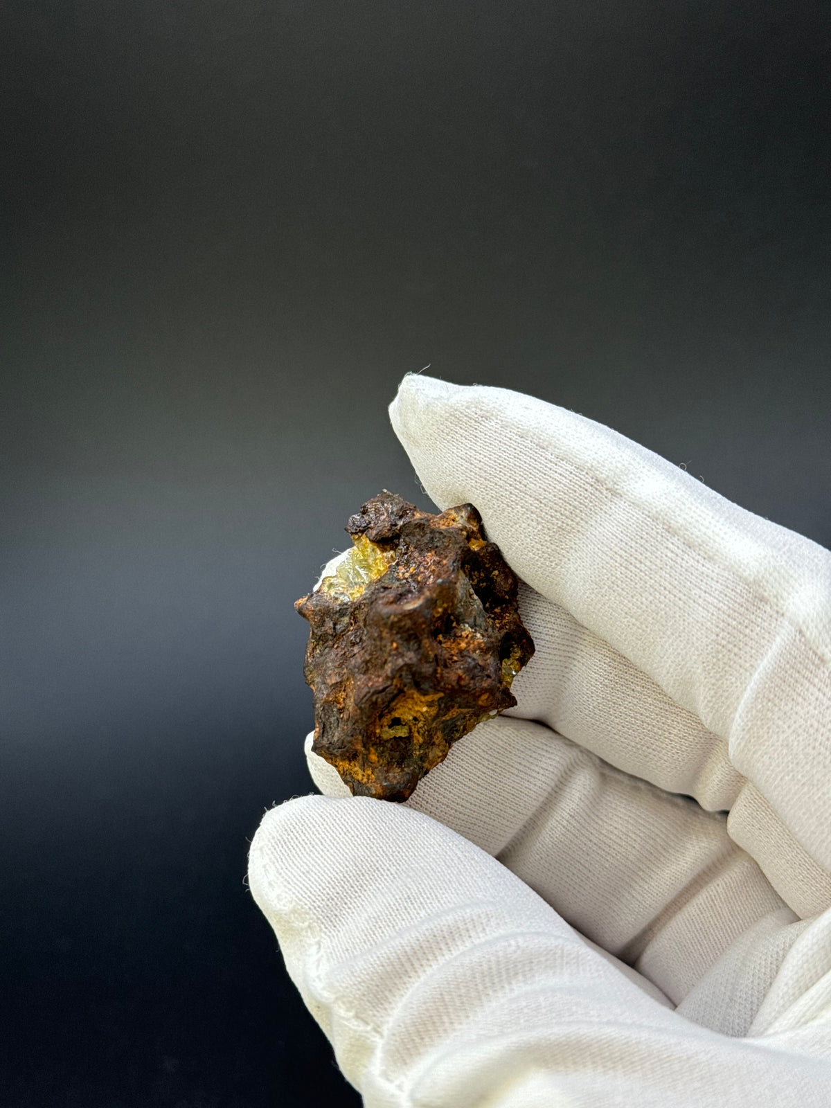 IMILAC PALLASITE METEORITE, END CUT, CHILE. 19,55 GRAMS.