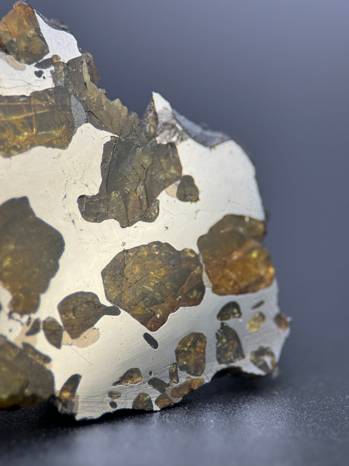 IMILAC PALLASITE METEORITE, END CUT, CHILE. 44,7 GRAMS.