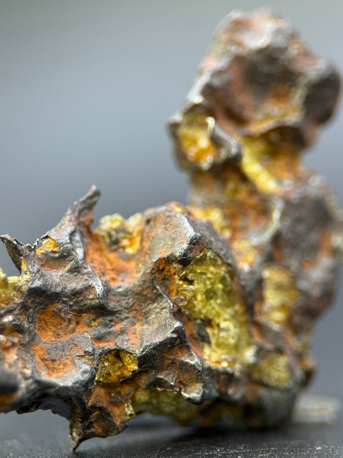 IMILAC PALLASITE METEORITE, END CUT, CHILE. 25,2 GRAMS.