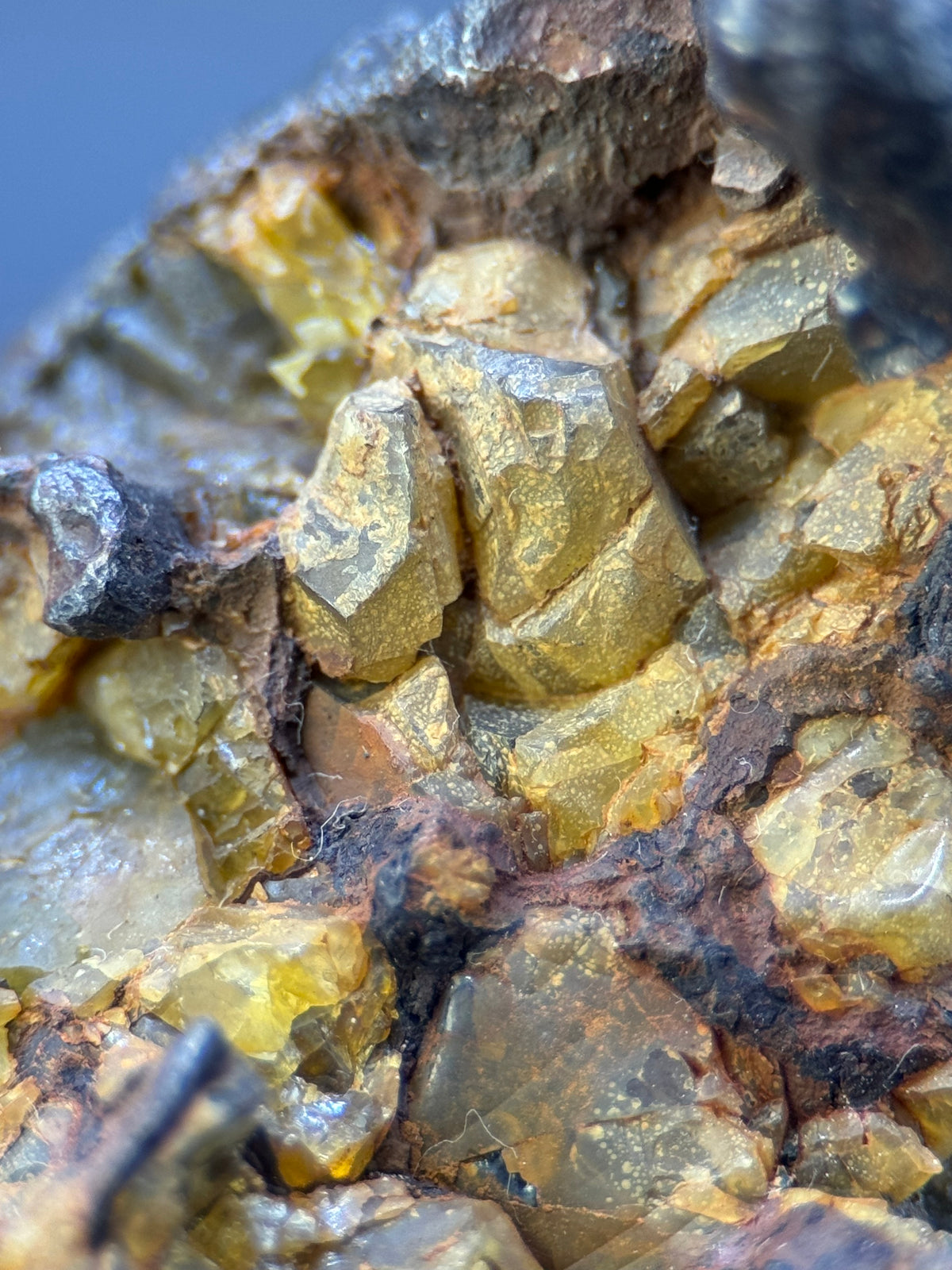 IMILAC PALLASITE METEORITE, END CUT, CHILE. 44,7 GRAMS.