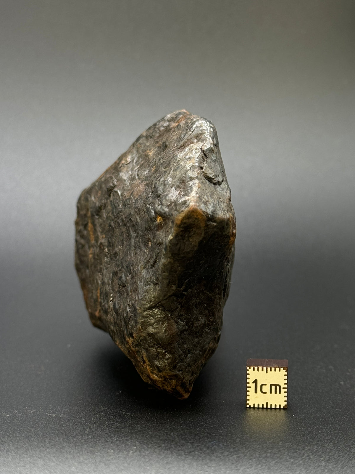 MUONIONALUSTA METEORITE, SWEDEN. FULL METEORITE 1104 GRAMS.