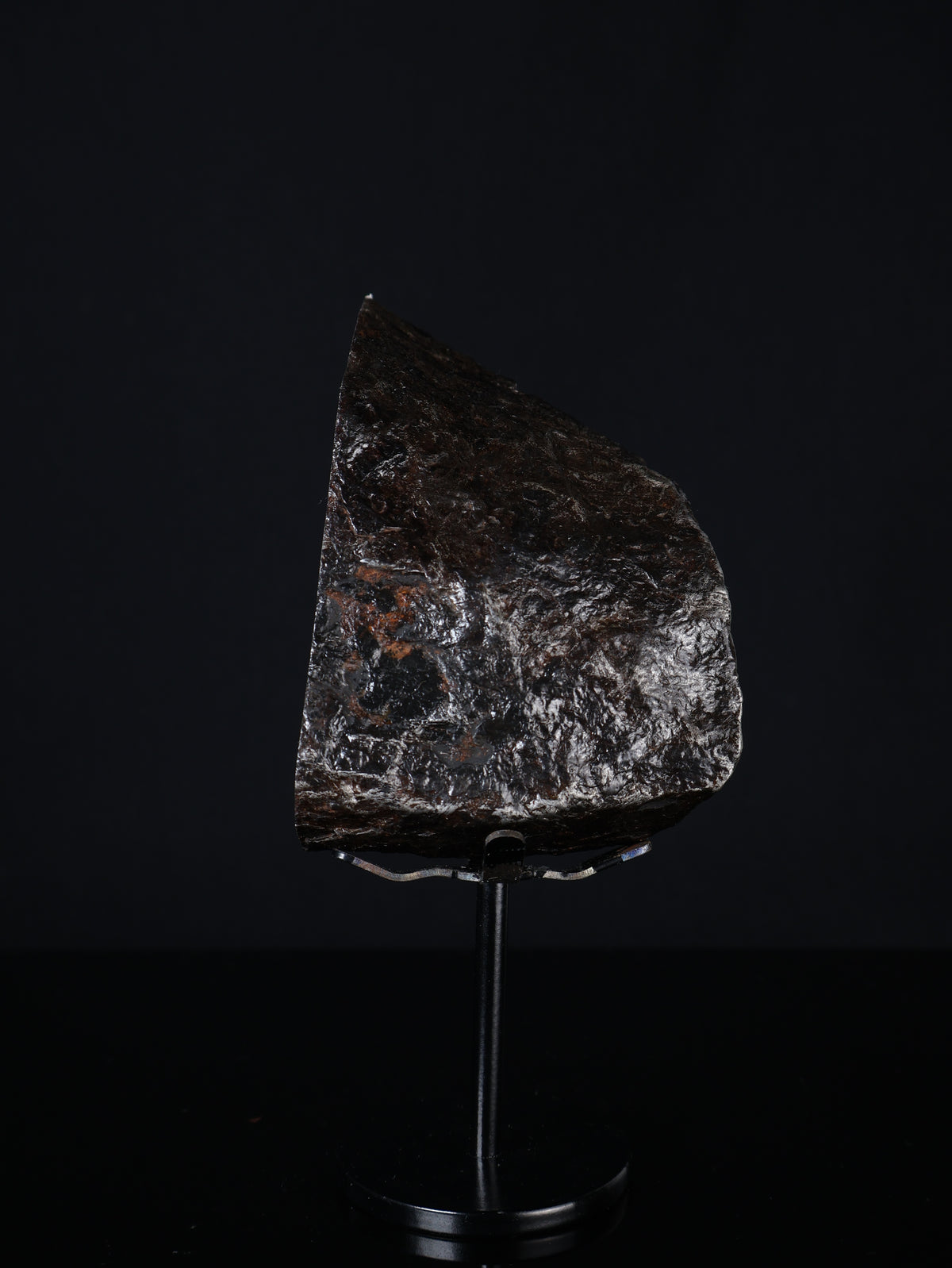 MUONIONALUSTA METEORITE, SWEDEN. 830 GRAMS END-CUT.