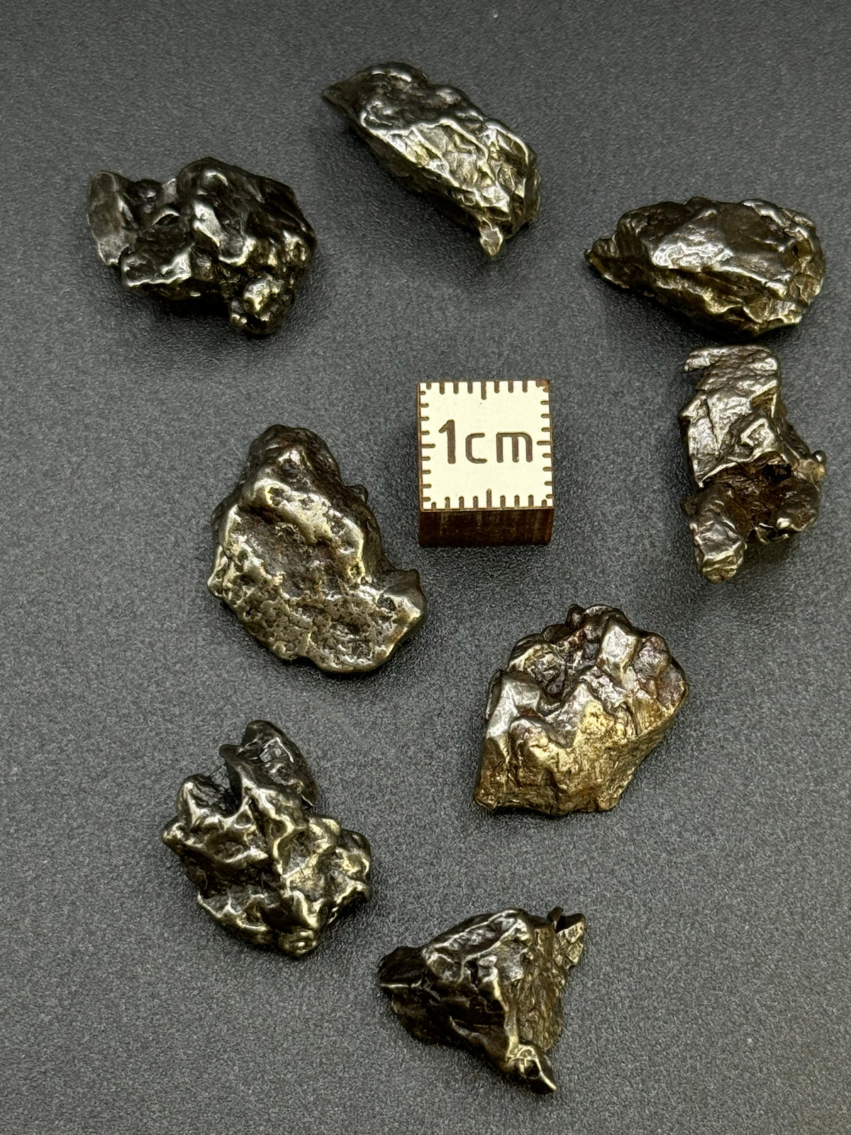 CAMPO DEL CIELO, SOUTH AMERICA. 46,36 GRAMS LOT.