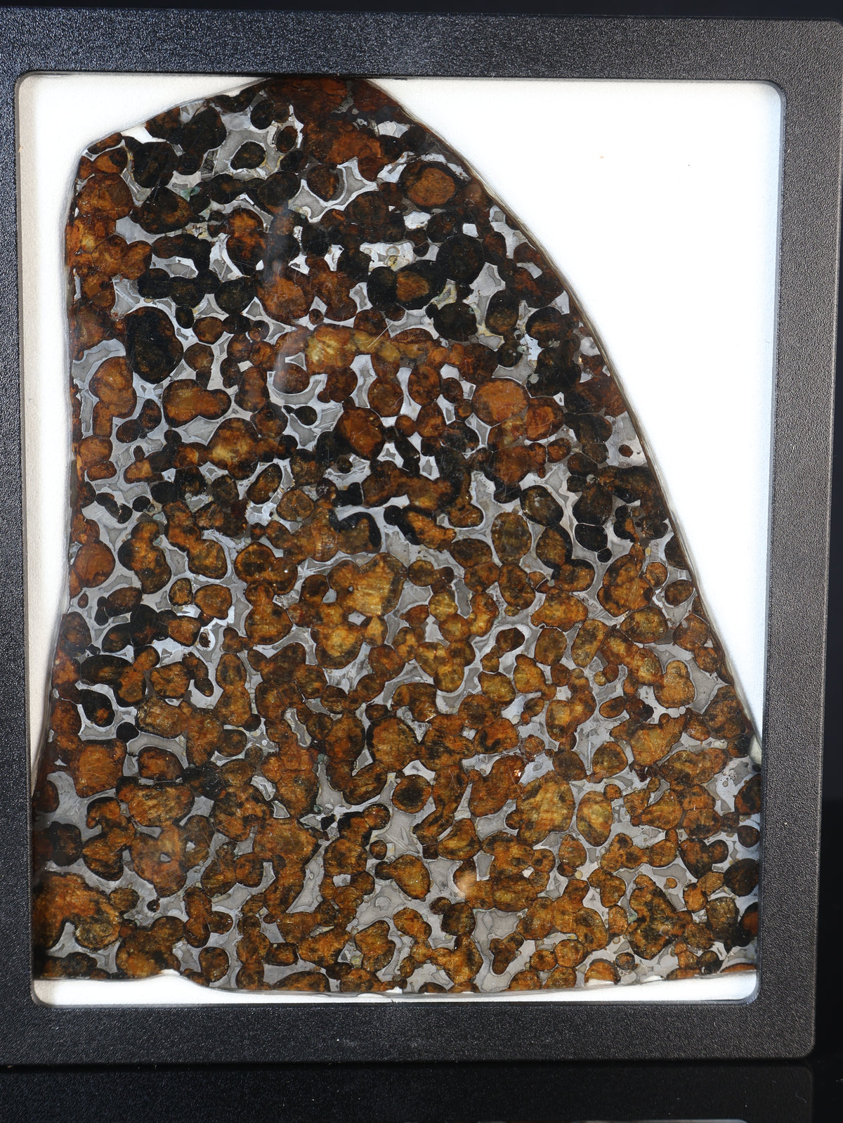 SERICHO METEORITE, KENYA. 87 GRAMS SLICE