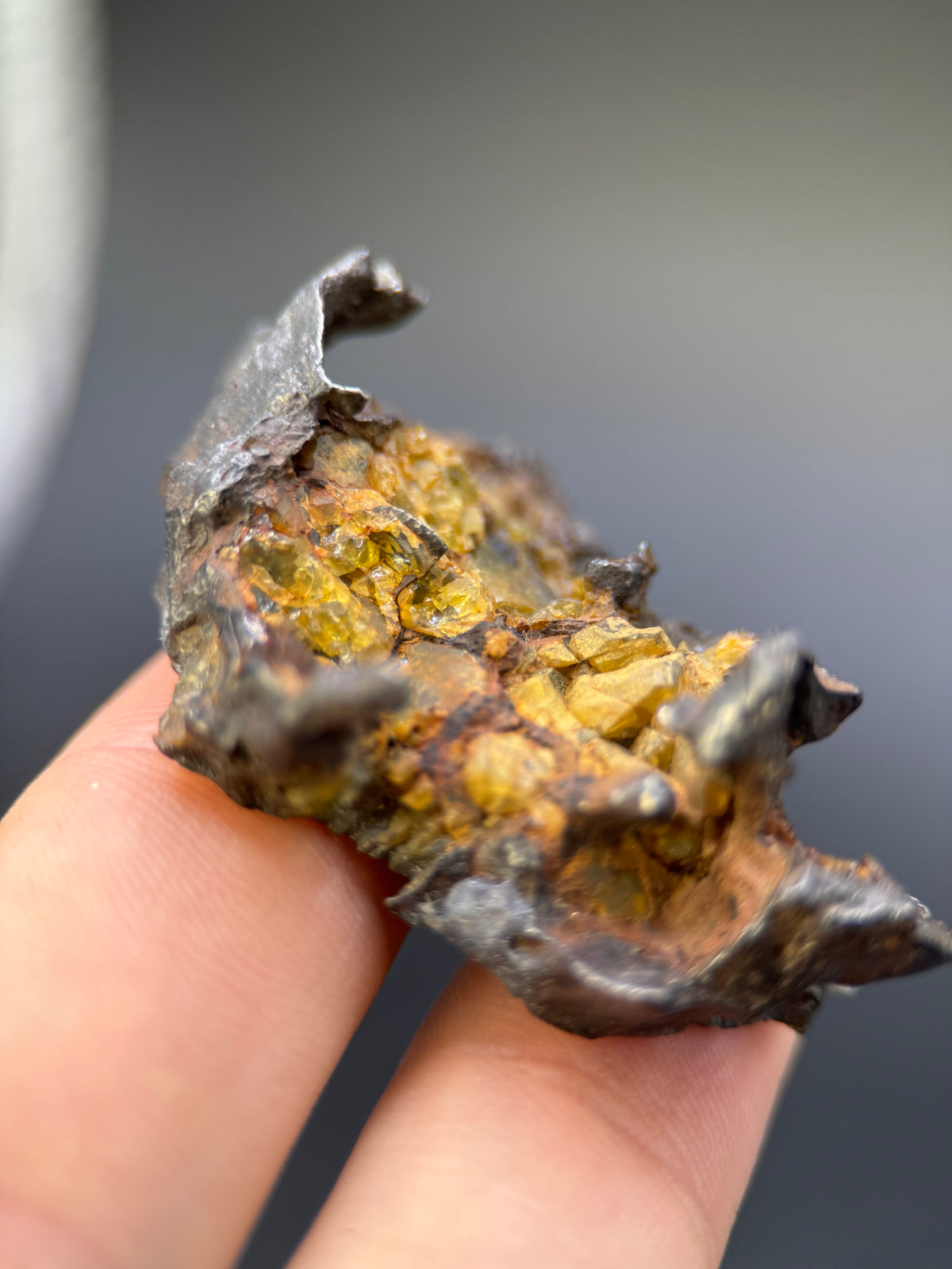 IMILAC PALLASITE METEORITE, END CUT, CHILE. 44,7 GRAMS.