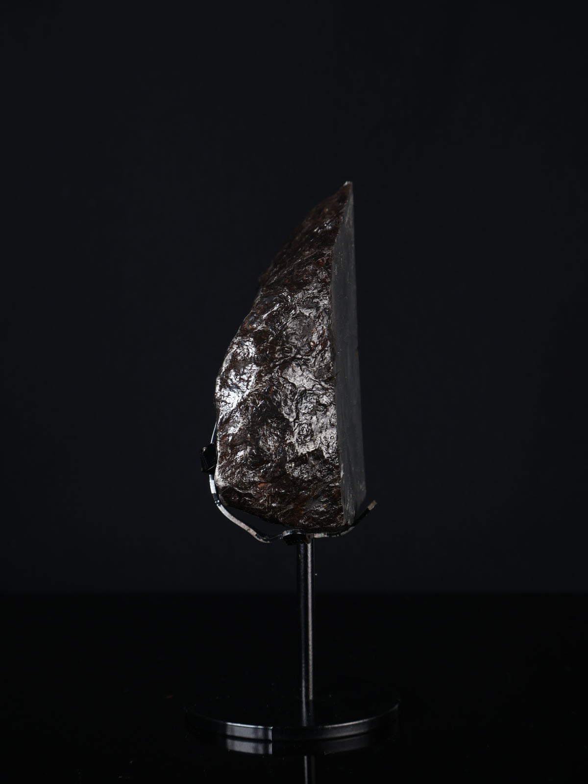 MUONIONALUSTA METEORITE, SWEDEN. 830 GRAMS END-CUT.