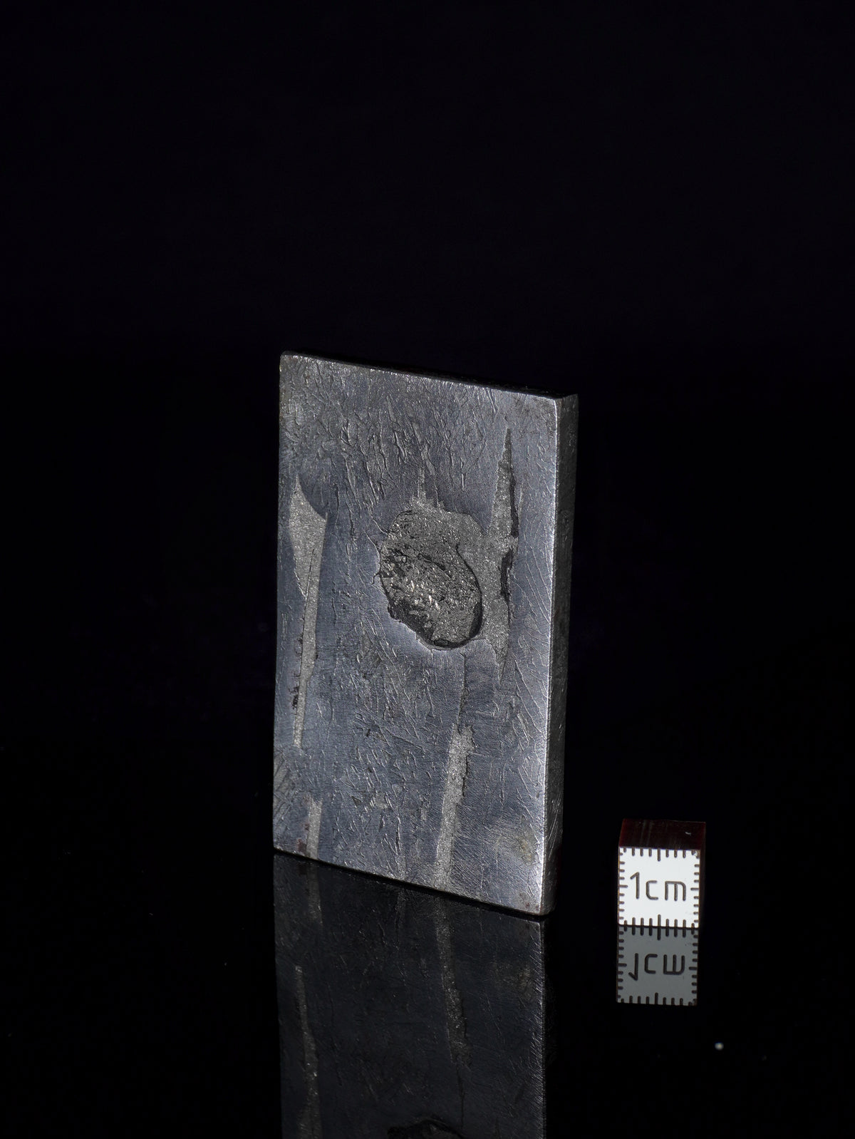 Aletai meteorite, Gobi Desert, China. 87,75 grams.