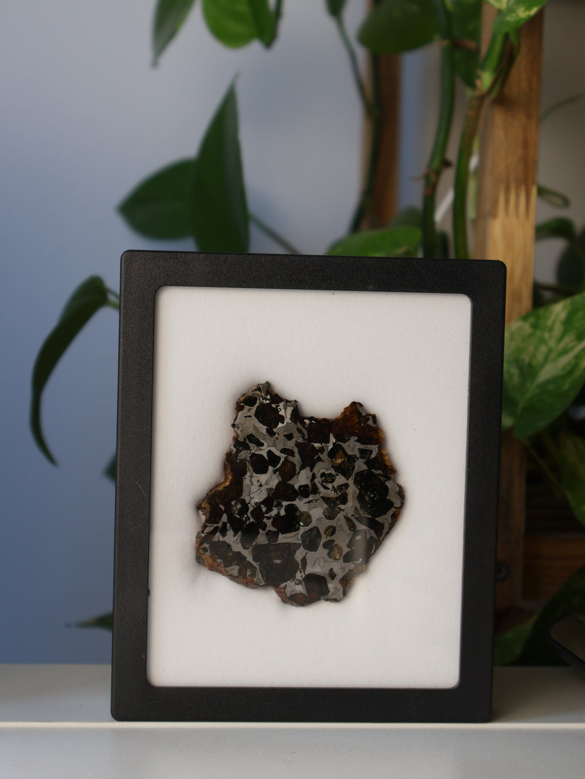 SEYMCHAN METEORITE, MAGADAN REGION, RUSSIA. 96 GRAMS END-CUT.