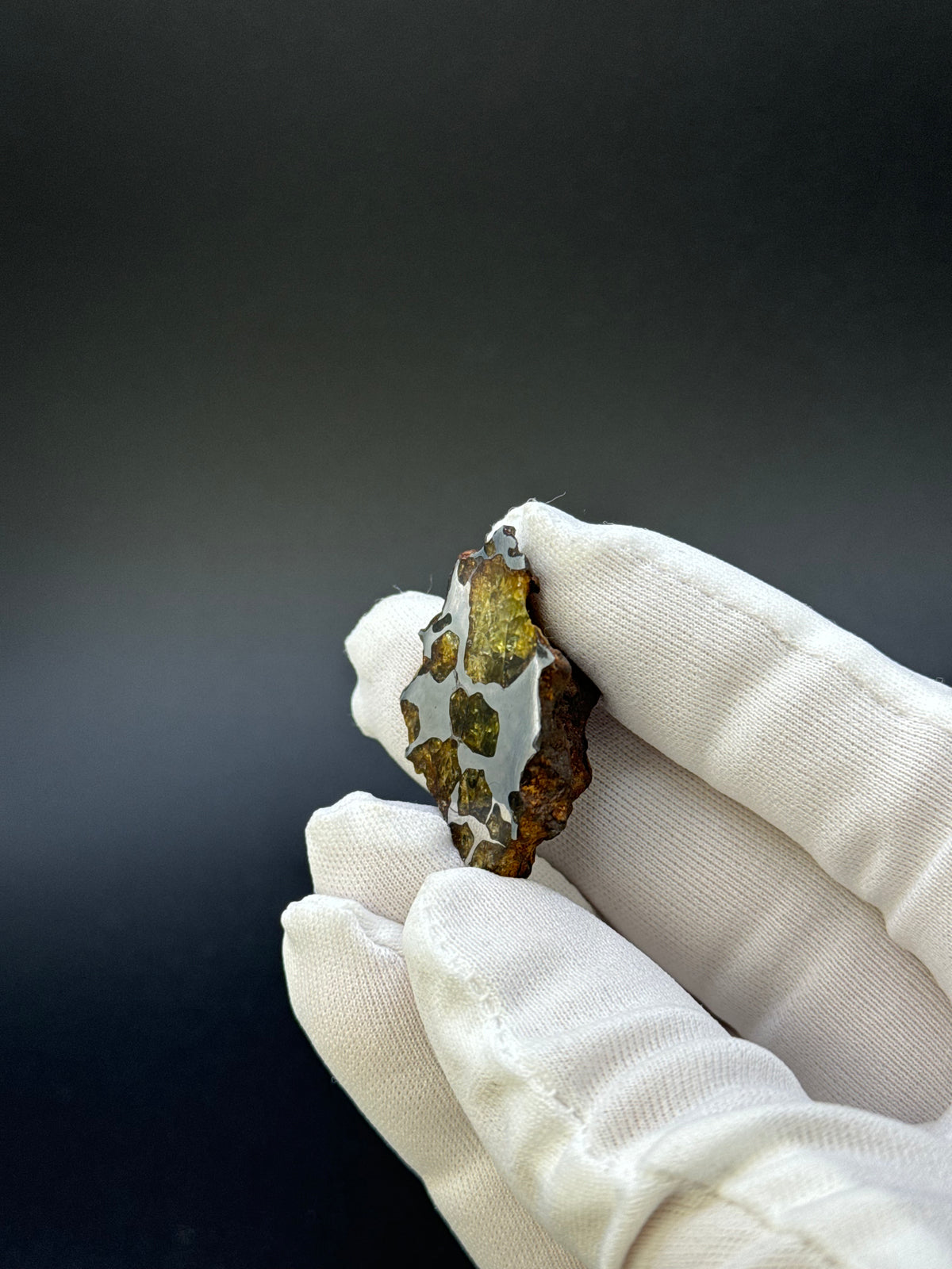 IMILAC PALLASITE METEORITE, END CUT, CHILE. 19,55 GRAMS.