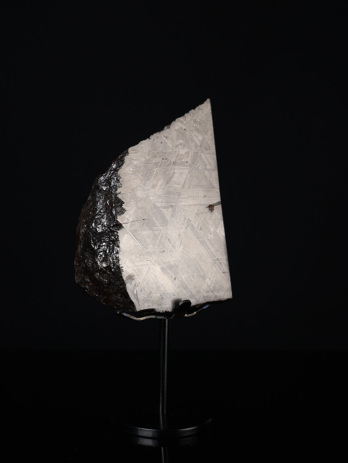 MUONIONALUSTA METEORITE, SWEDEN. 830 GRAMS END-CUT.