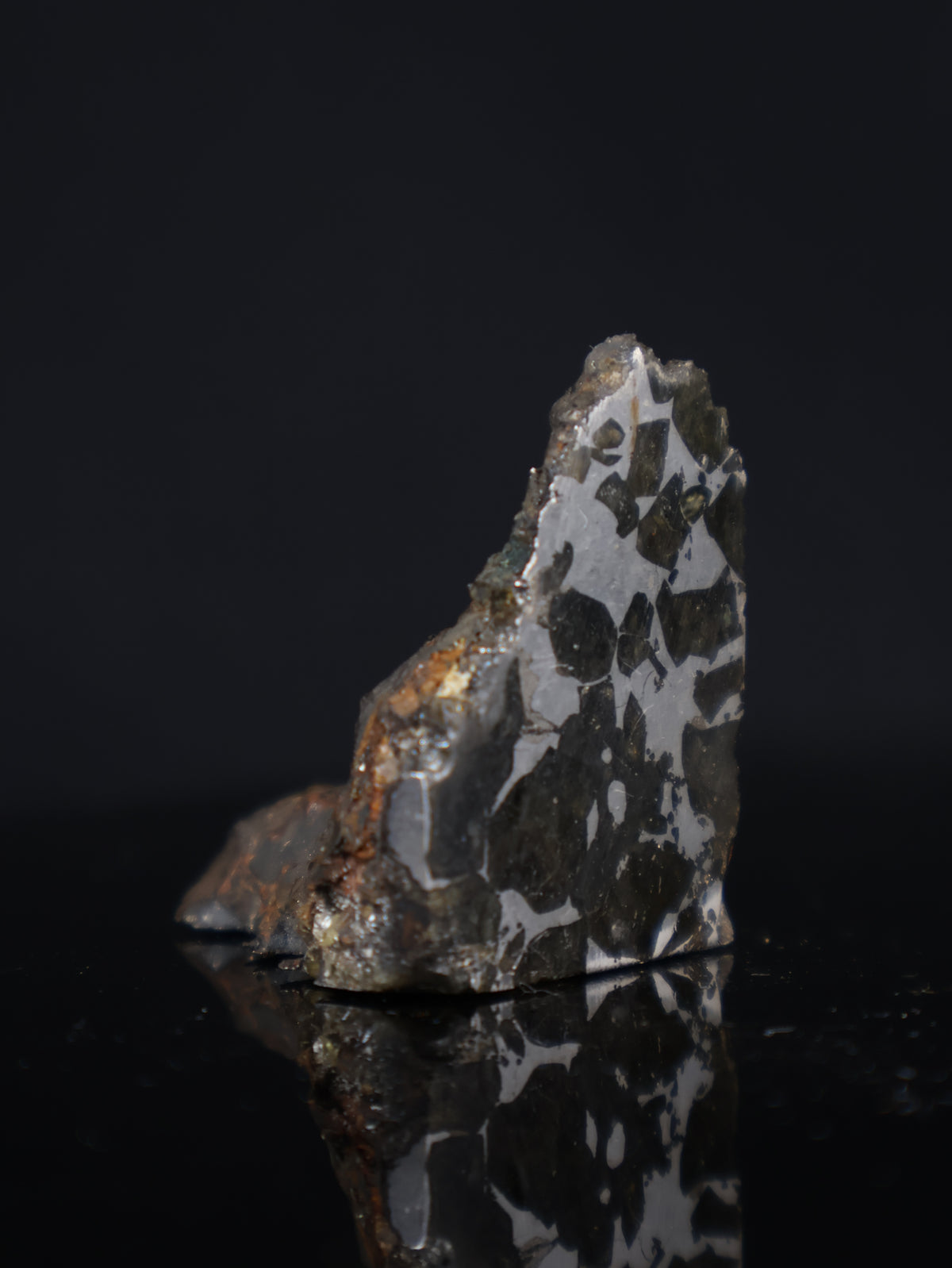 Seymchan meteorite, Russia. 44 grams end-cut.