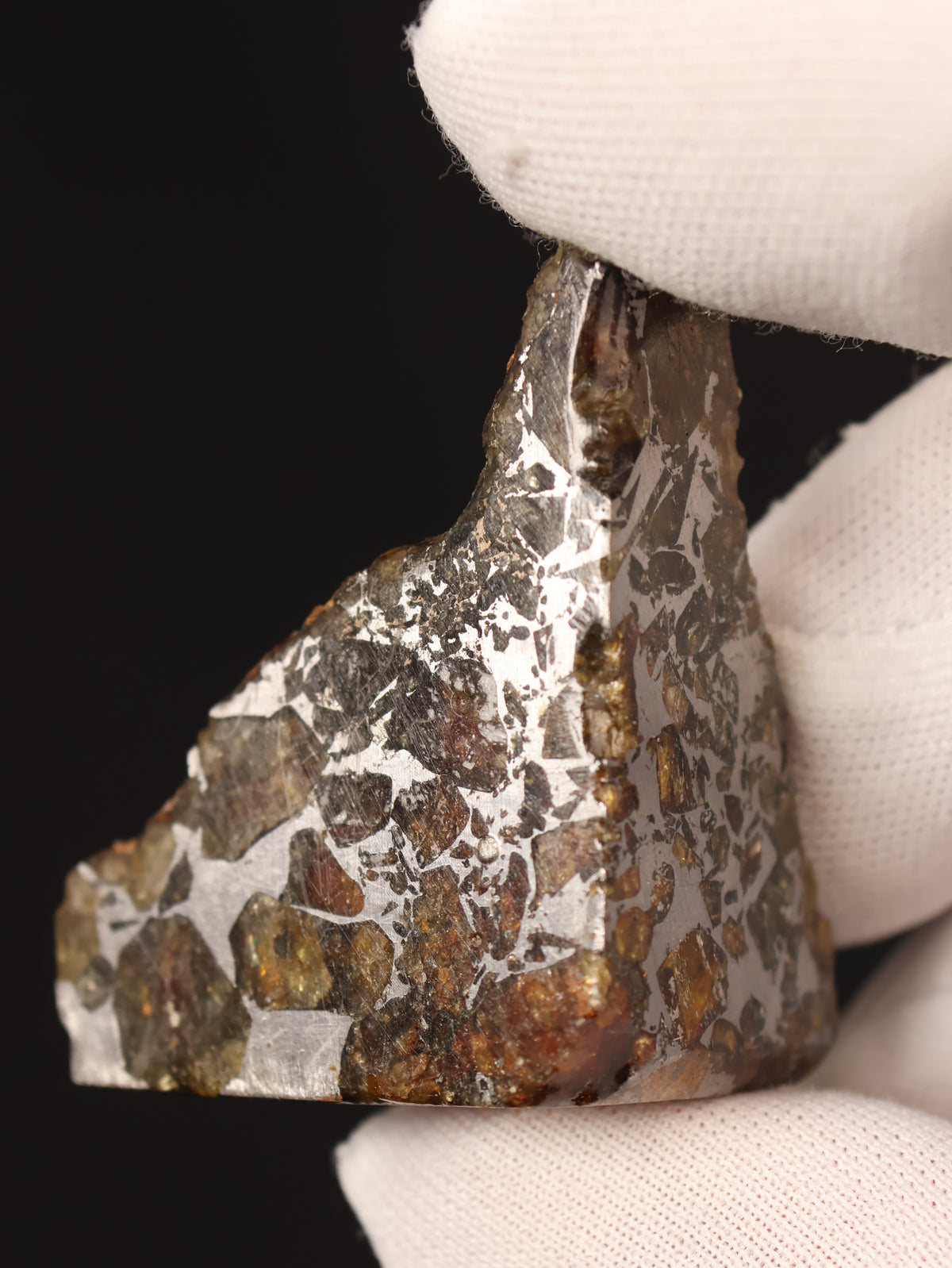 Seymchan meteorite, Russia. 31,3 grams end-cut.
