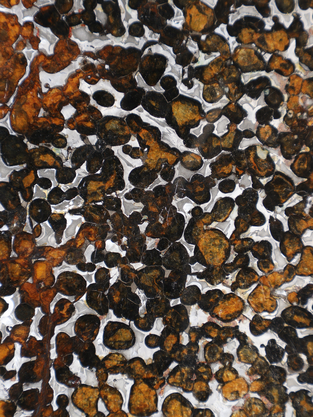 SERICHO METEORITE, KENYA. 97 GRAMS SLICE