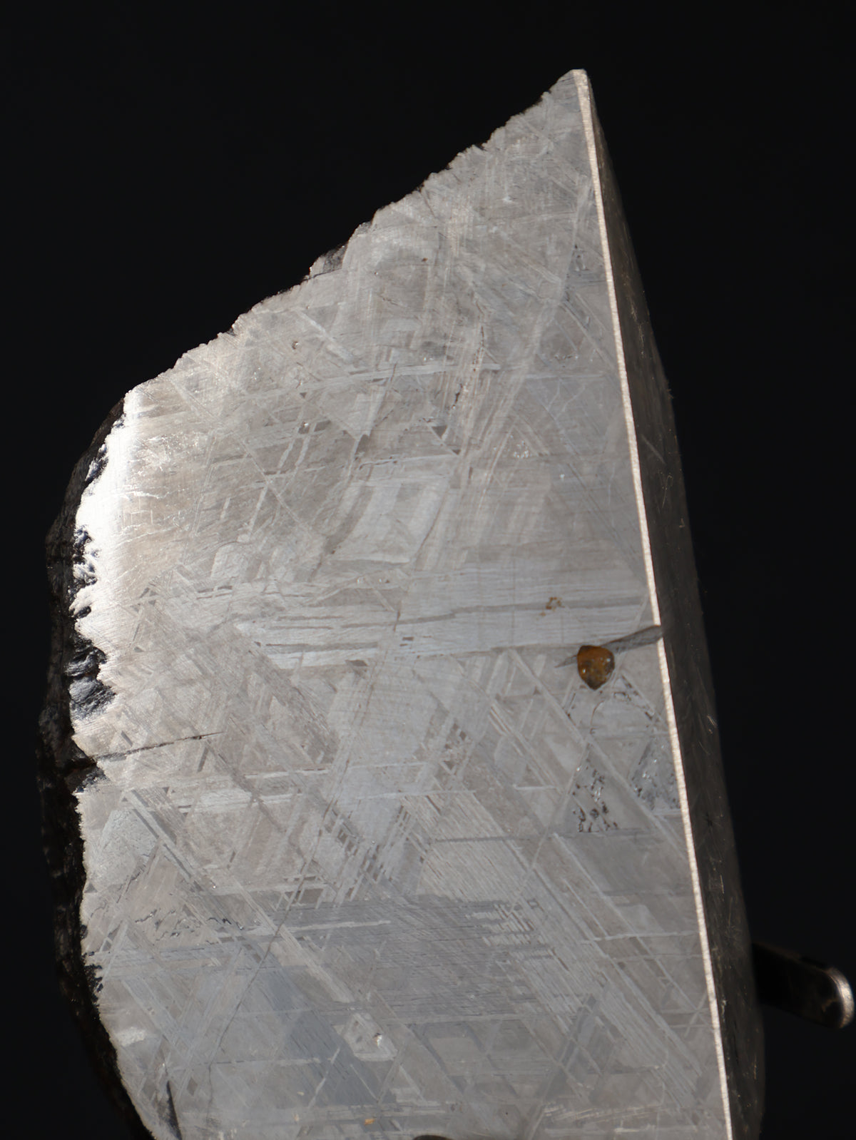 MUONIONALUSTA METEORITE, SWEDEN. 830 GRAMS END-CUT.