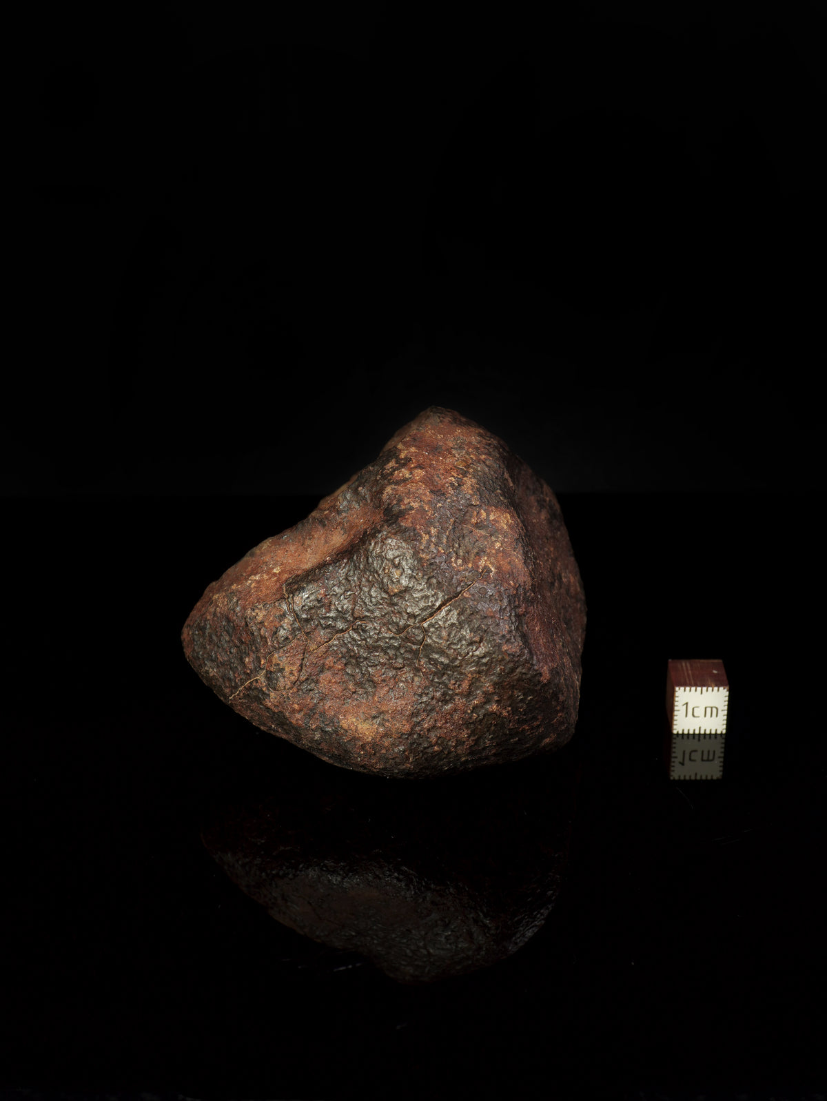 CHONDRITE METEORITE, NORTH WEST AFRICA. 437 GRAMS.