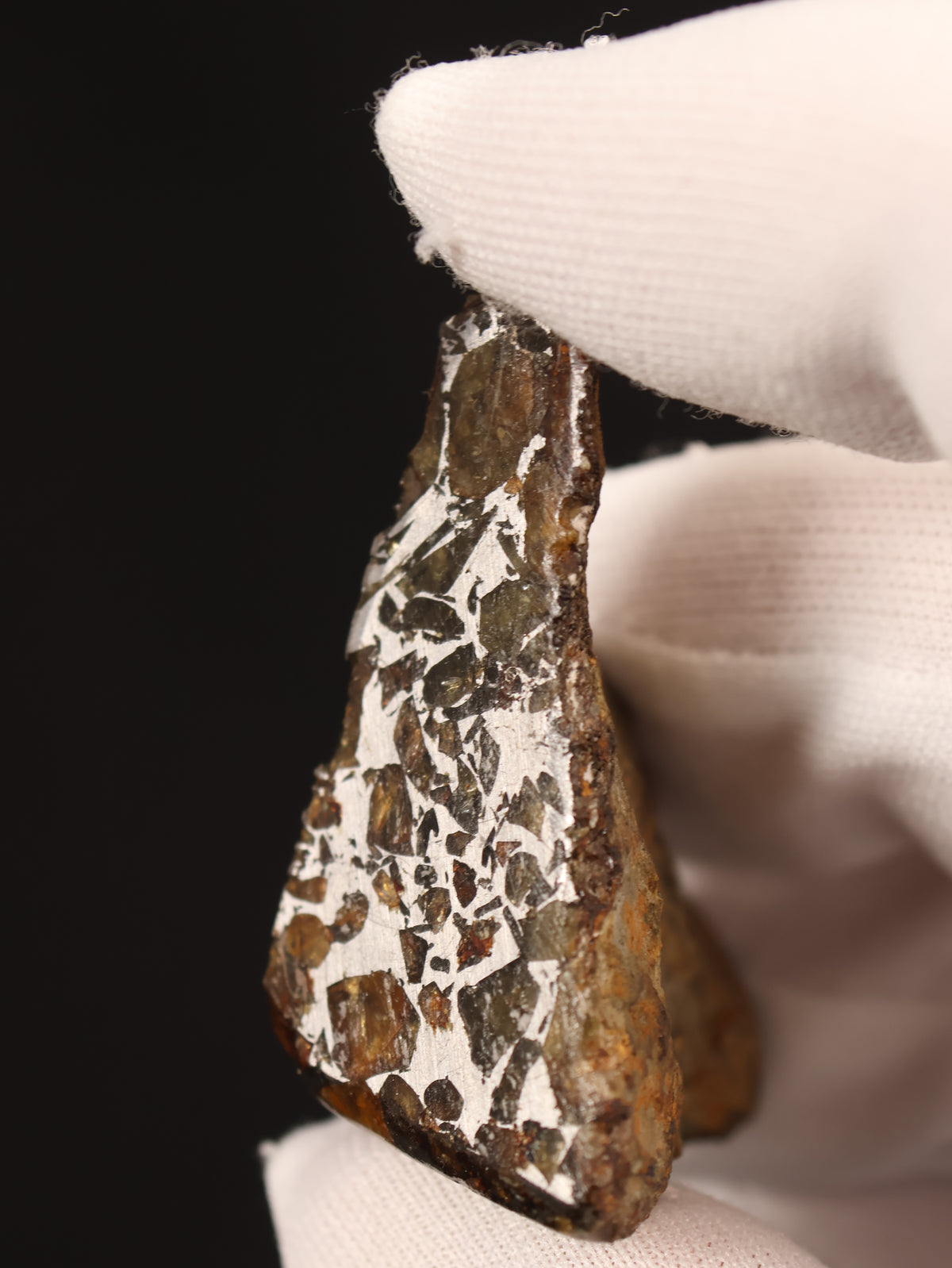 Seymchan meteorite, Russia. 31,3 grams end-cut.