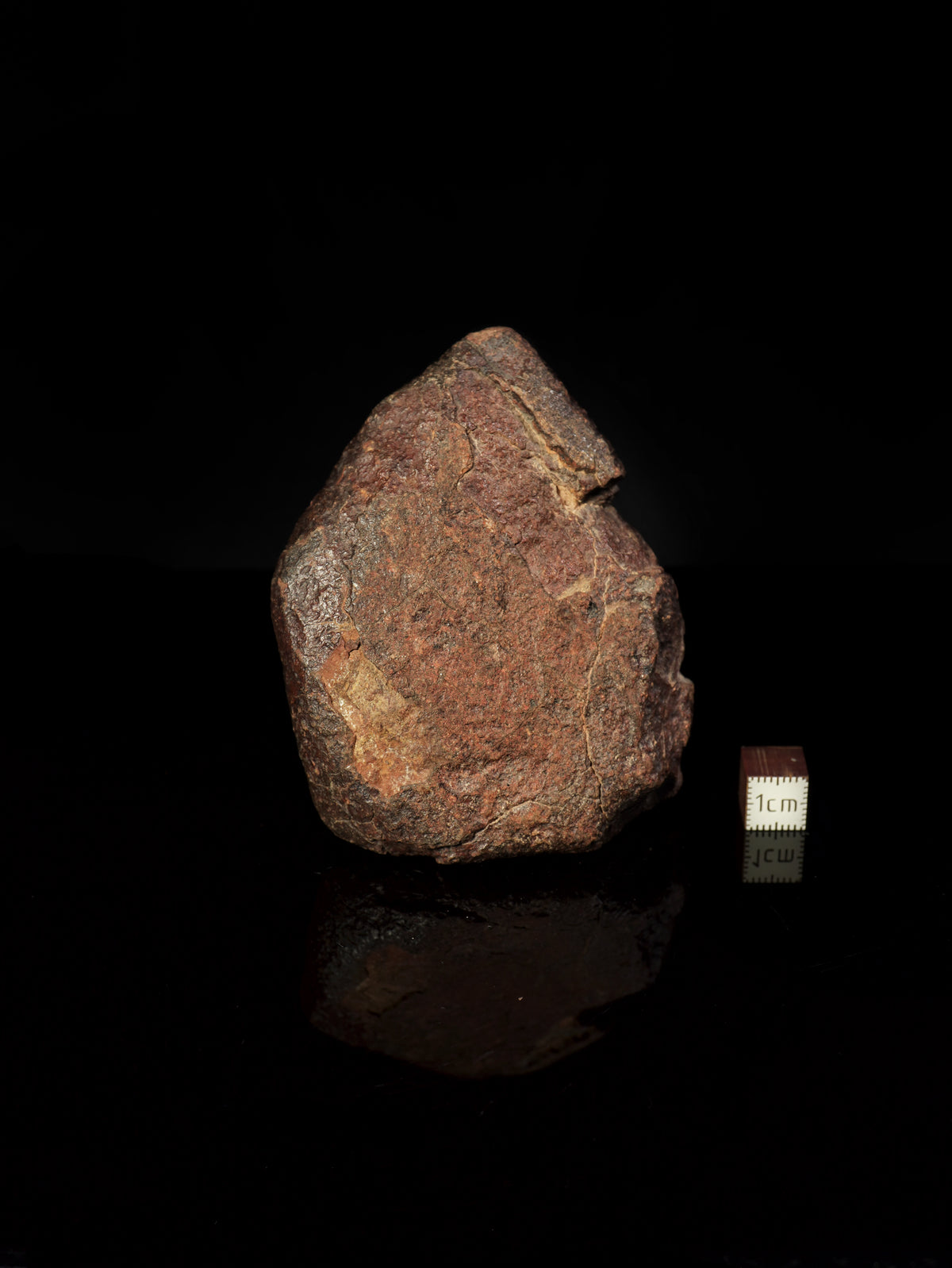 CHONDRITE METEORITE, NORTH WEST AFRICA. 232 GRAMS.