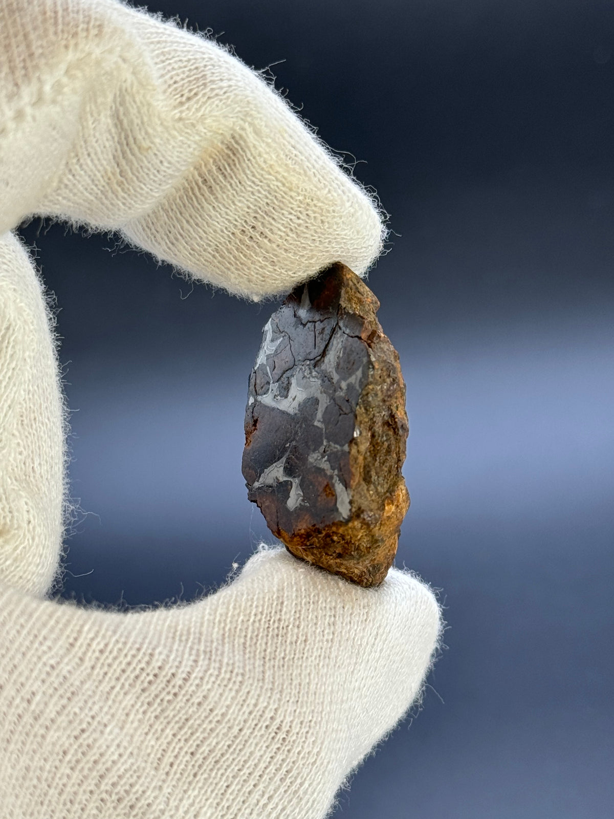SERICHO PALLASITE METEORITE, KENYA. 24,24 GRAMS END-CUT.