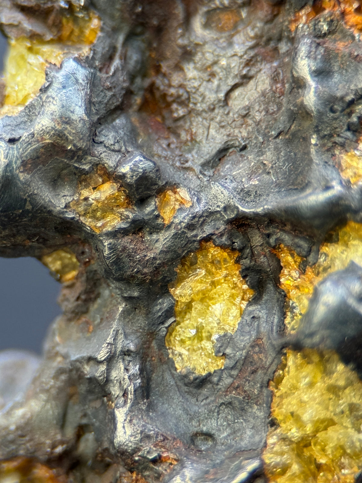 IMILAC PALLASITE METEORITE, END CUT, CHILE. 25,36 GRAMS.