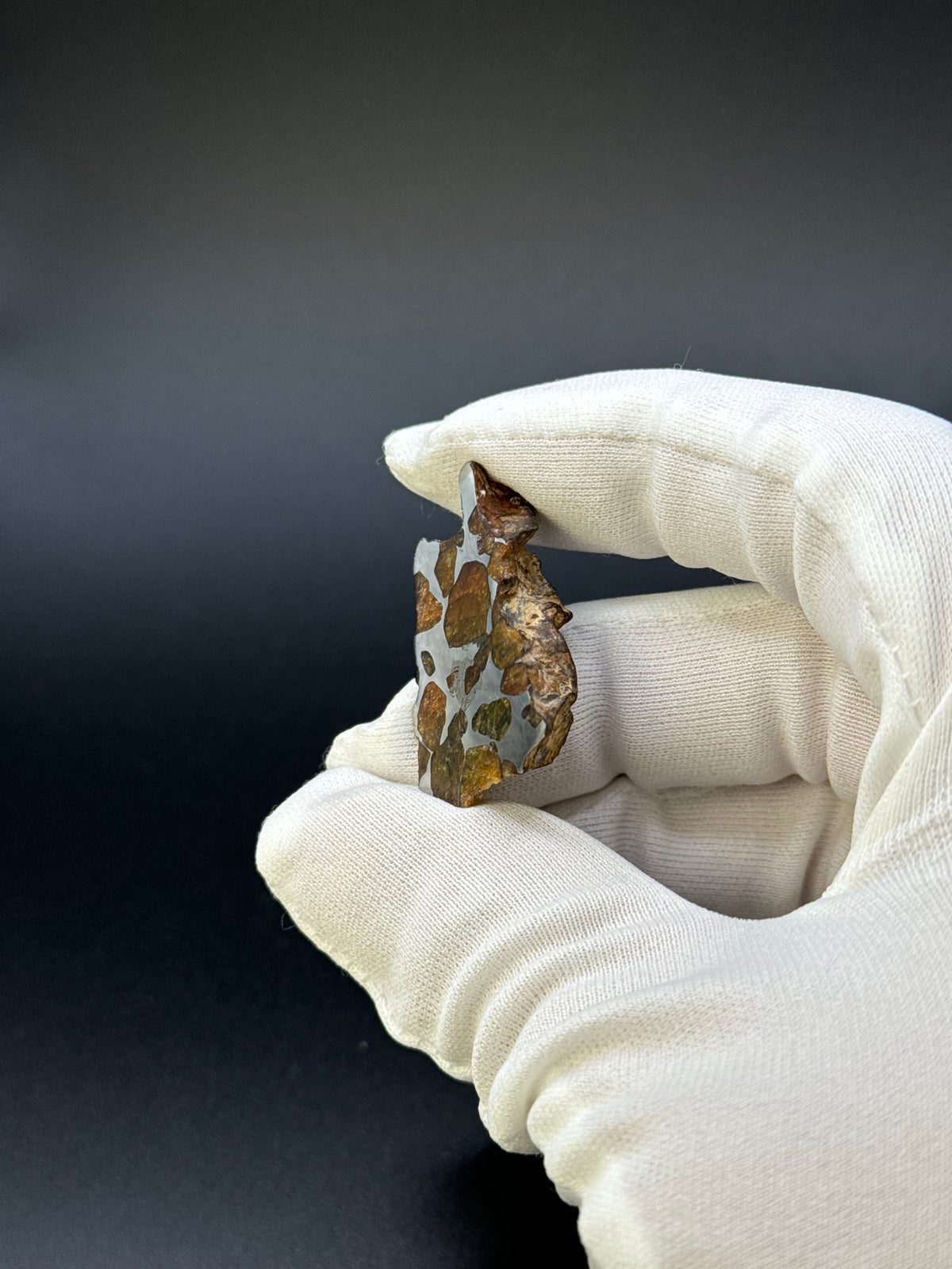IMILAC PALLASITE METEORITE, END CUT, CHILE. 13,5 GRAMS.