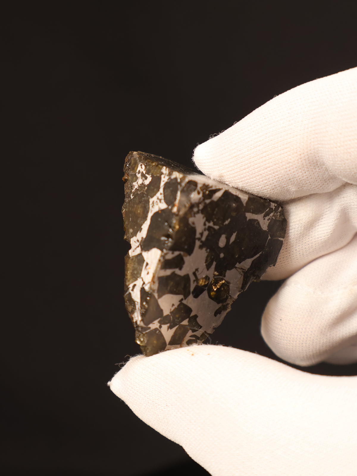 Seymchan meteorite, Russia. 44 grams end-cut.