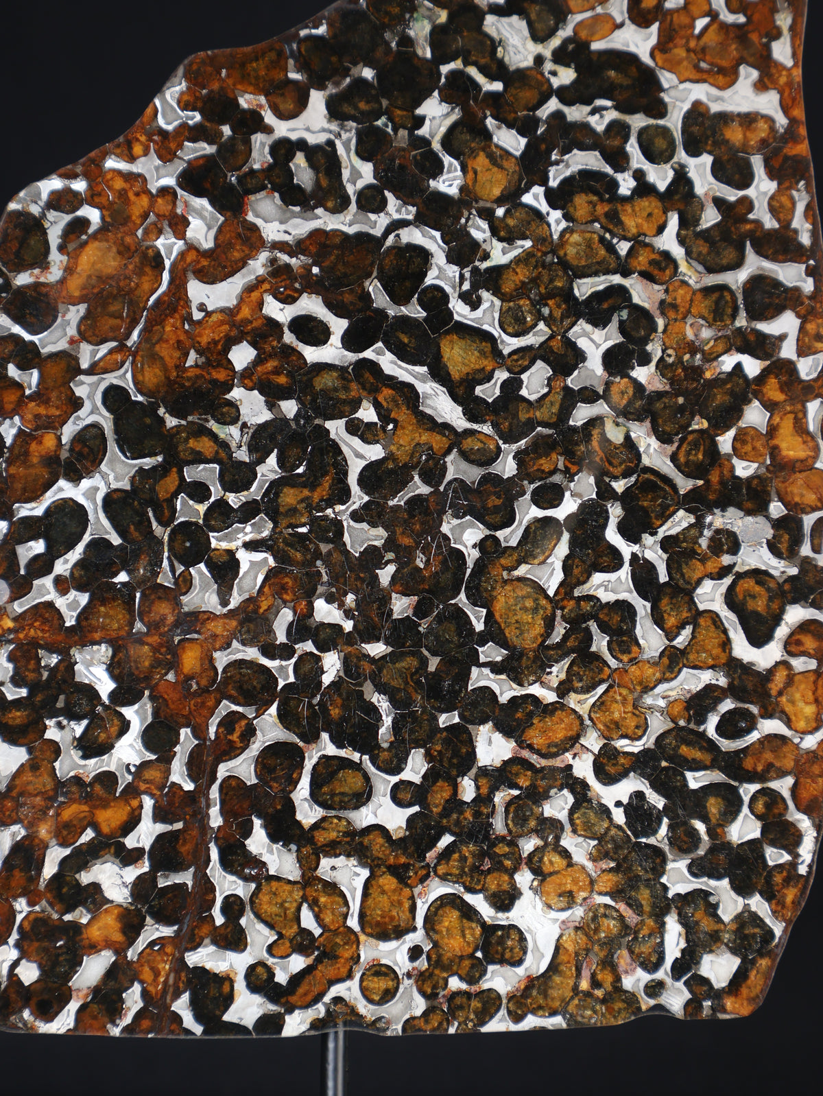 SERICHO METEORITE, KENYA. 97 GRAMS SLICE