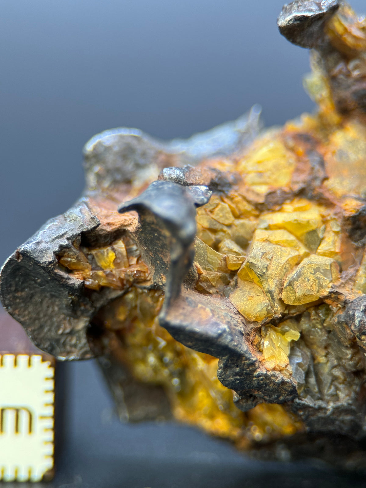 IMILAC PALLASITE METEORITE, END CUT, CHILE. 44,7 GRAMS.