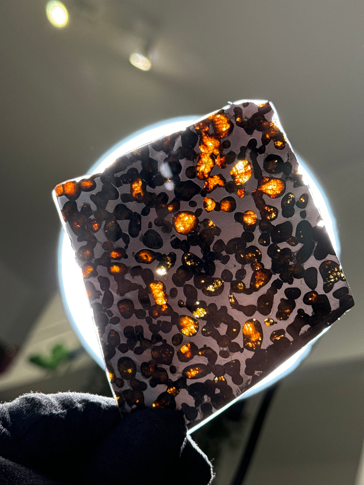 SERICHO METEORITE, KENYA. 58 GRAMS SLICE