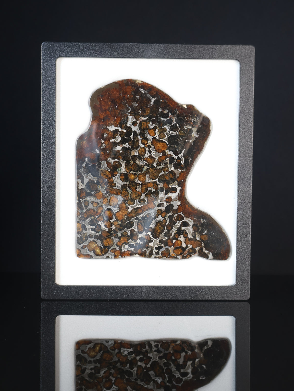 SERICHO METEORITE, KENYA. 74,82 GRAMS SLICE