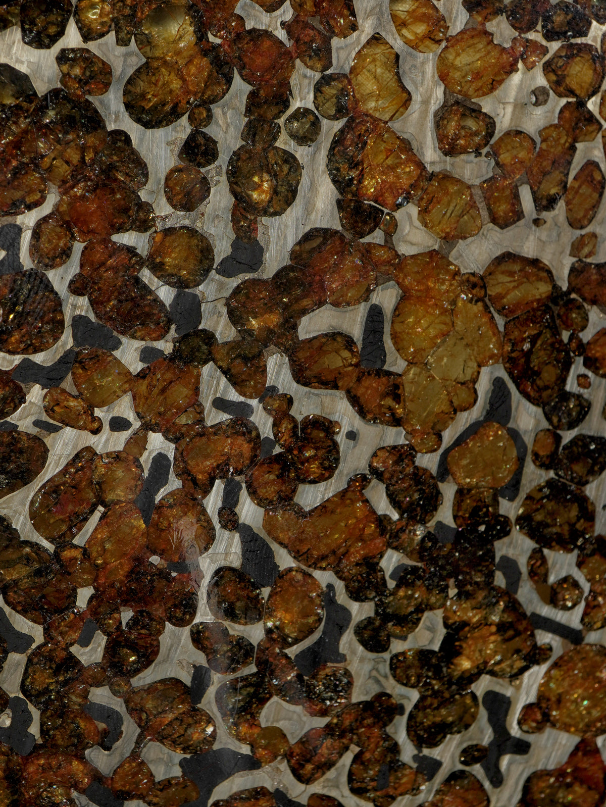 SERICHO PALLASITE METEORITE, KENYA. 286 GRAMS — PERFECTLY ROUND SLICE