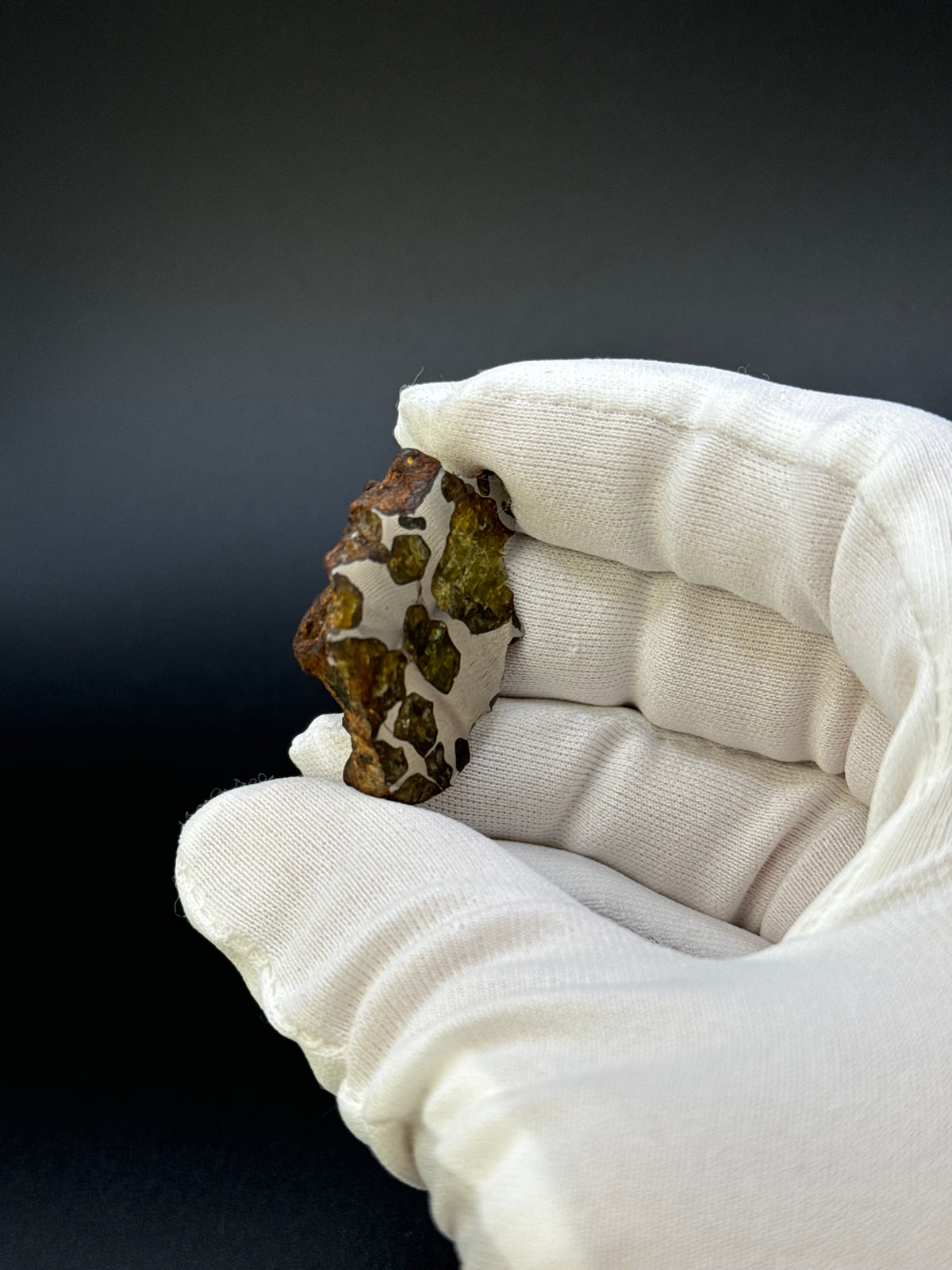 IMILAC PALLASITE METEORITE, END CUT, CHILE. 19,55 GRAMS.