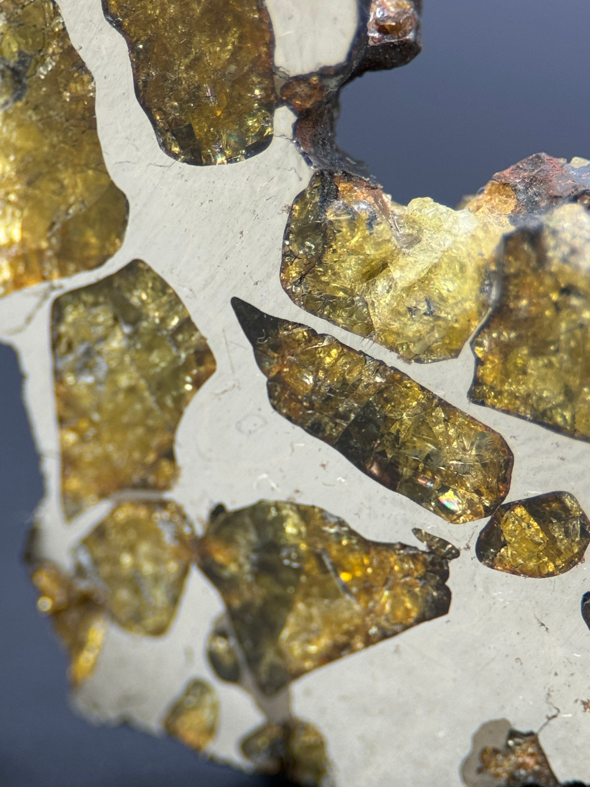 IMILAC PALLASITE METEORITE, END CUT, CHILE. 25,2 GRAMS.