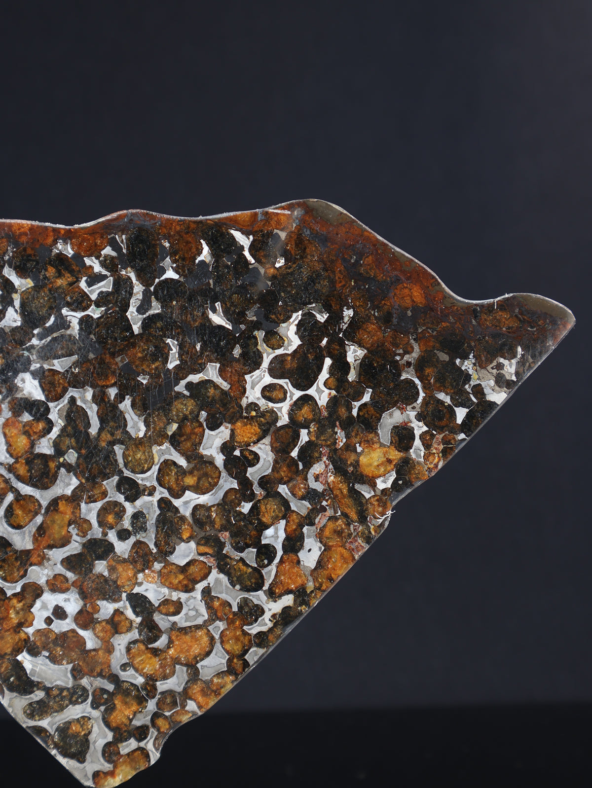 SERICHO METEORITE, KENYA. 74,56 GRAMS SLICE