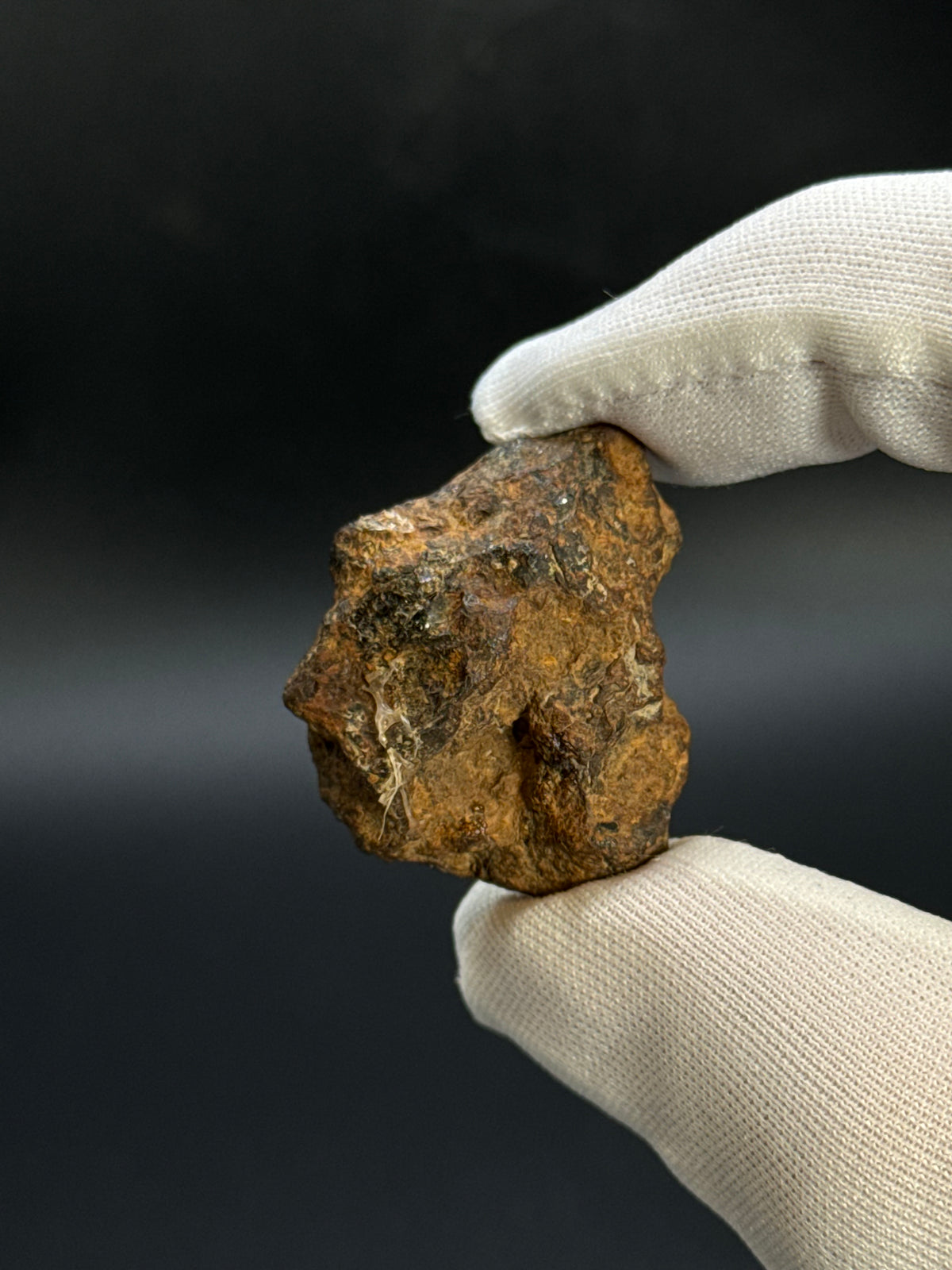 SERICHO PALLASITE METEORITE, KENYA. 21,79 GRAMS END-CUT