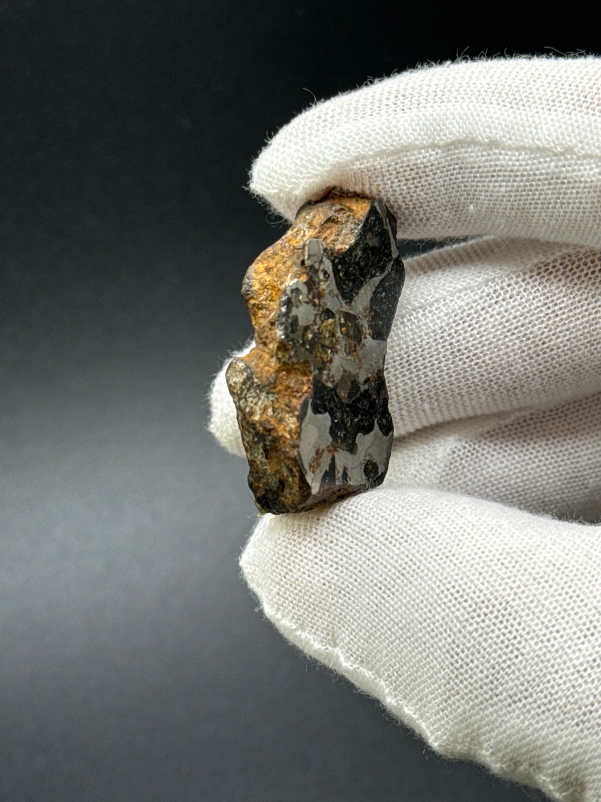 SERICHO PALLASITE METEORITE, KENYA. 31,69 GRAMS END-CUT.