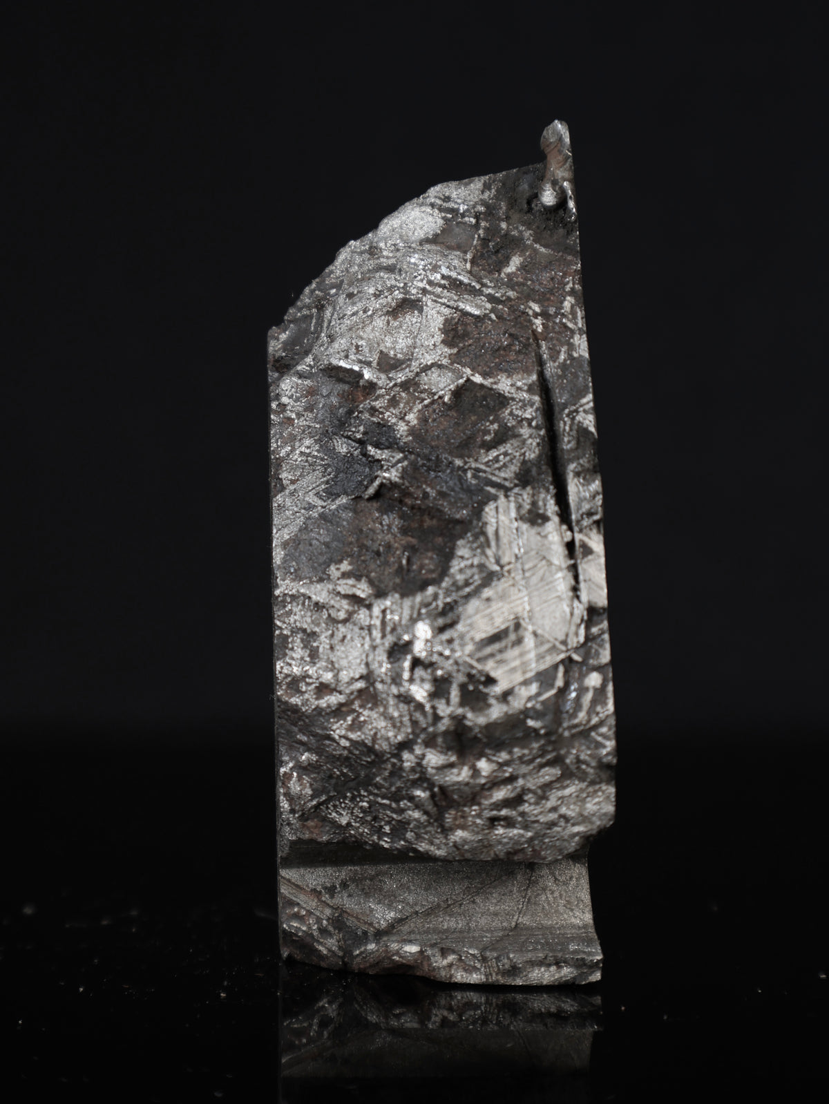 MUONIONALUSTA METEORITE, SWEDEN. 377 GRAMS END-CUT.