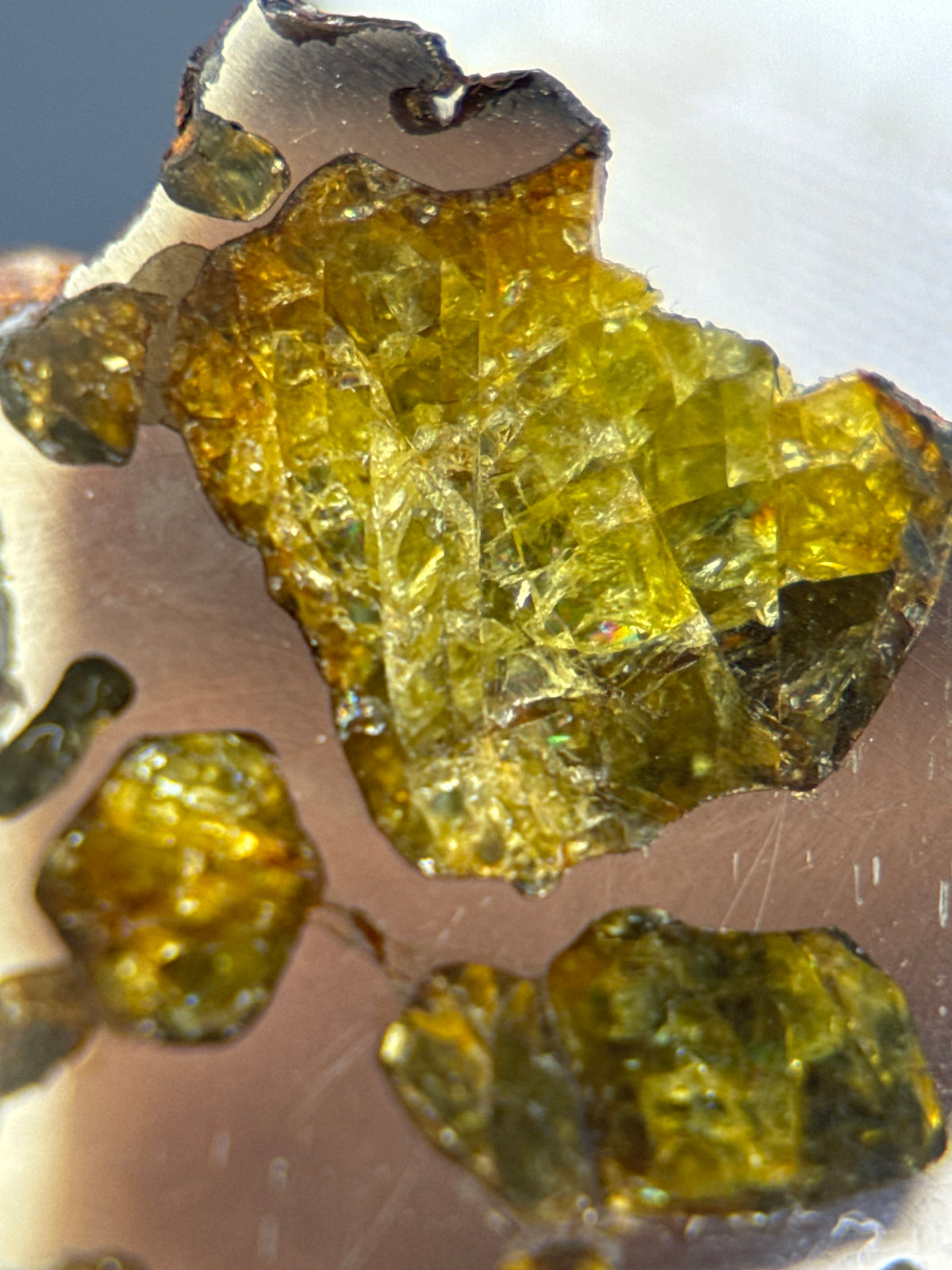 IMILAC PALLASITE METEORITE, END CUT, CHILE. 19,55 GRAMS.