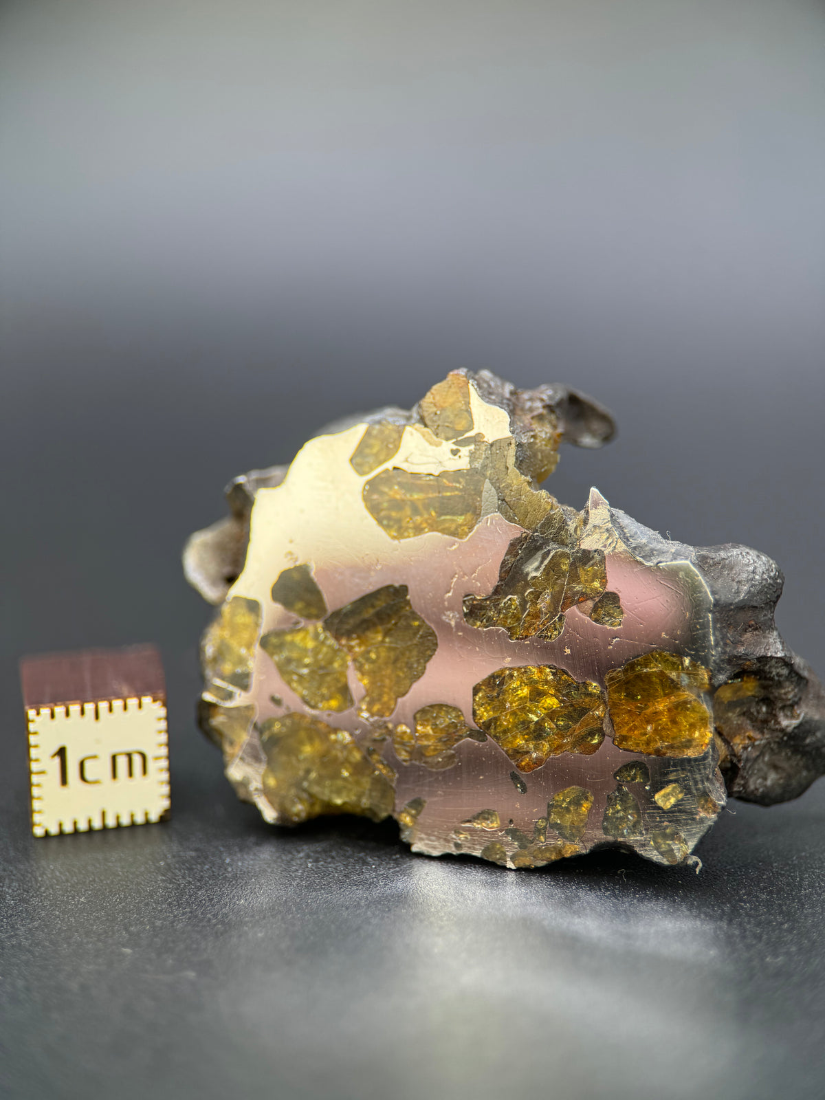 IMILAC PALLASITE METEORITE, END CUT, CHILE. 44,7 GRAMS.